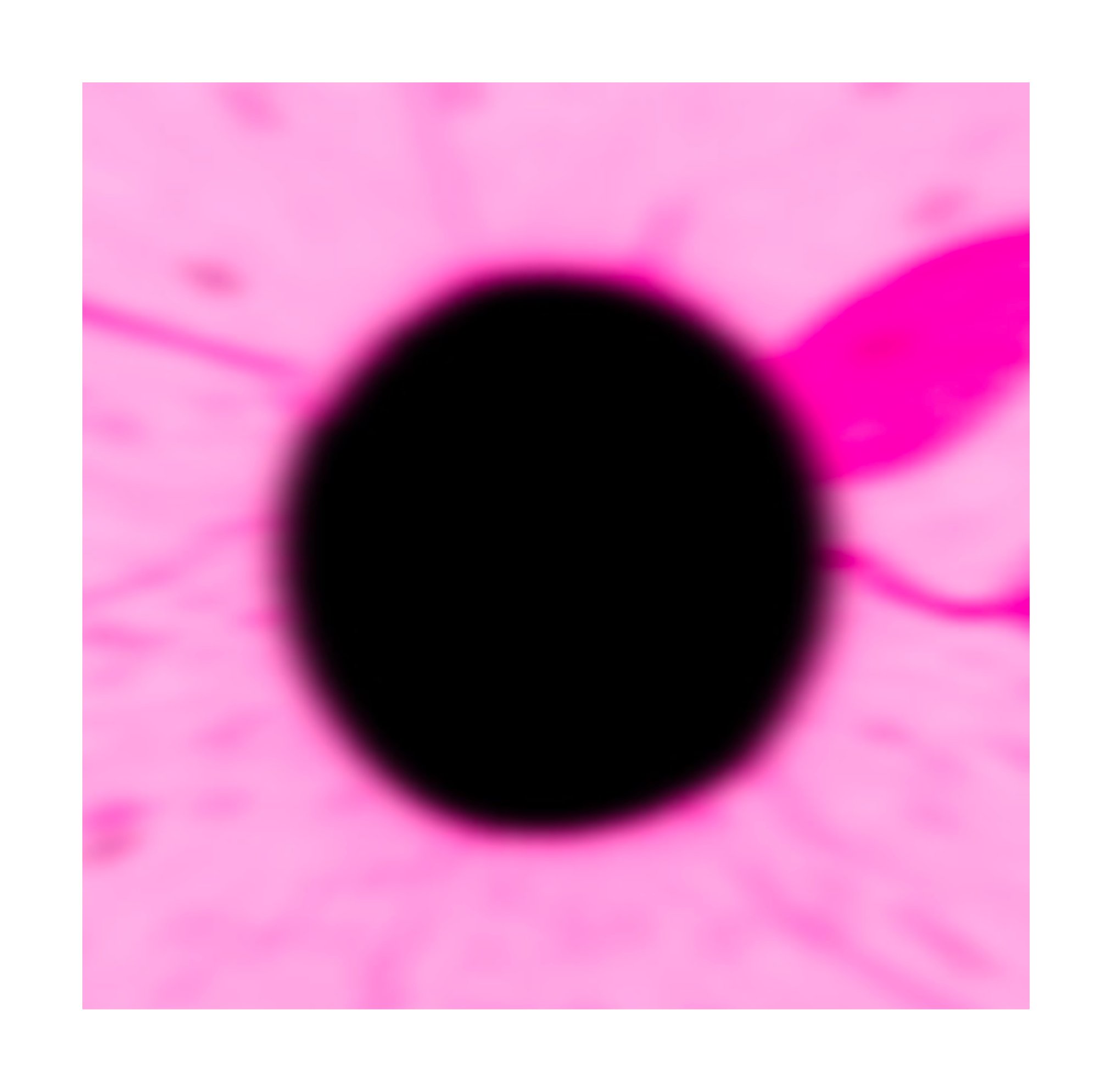 Eclipse 蚀