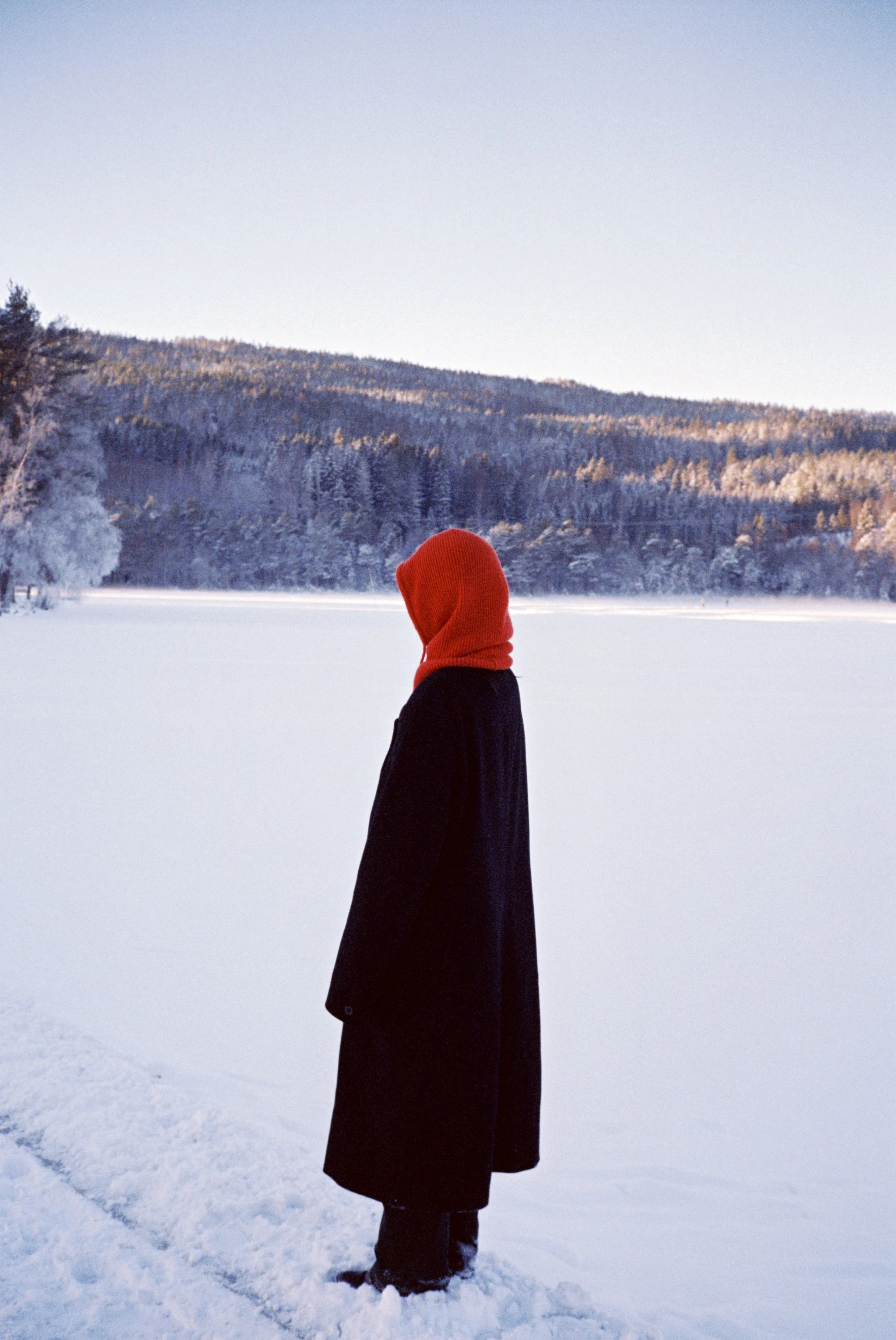 C_ND000007_2.jpg