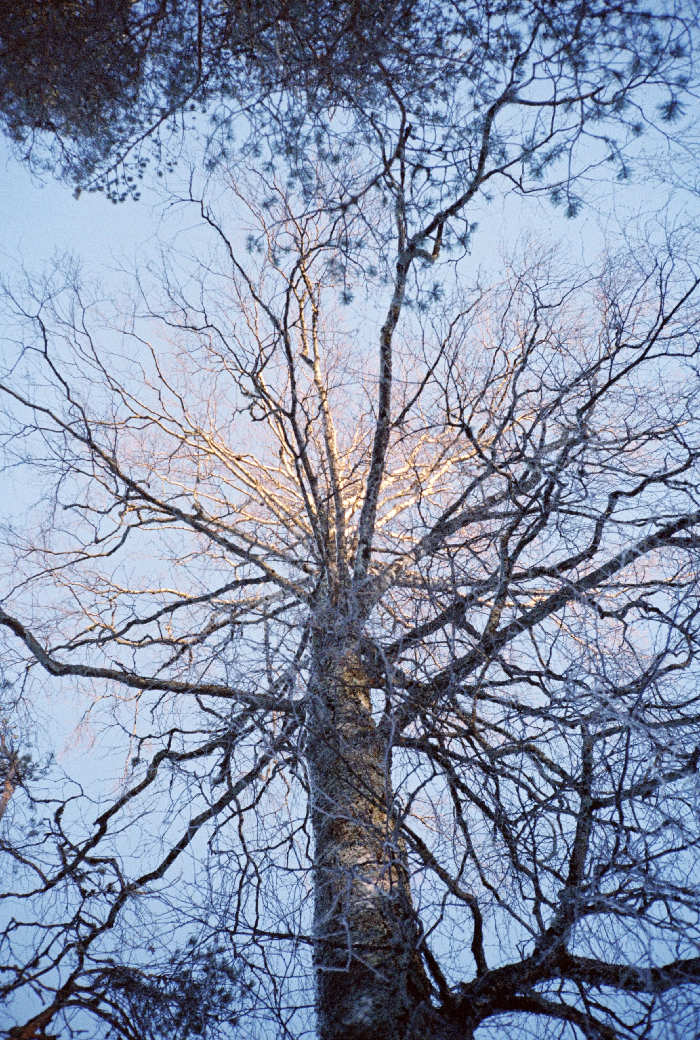 C_ND000028_3.jpg