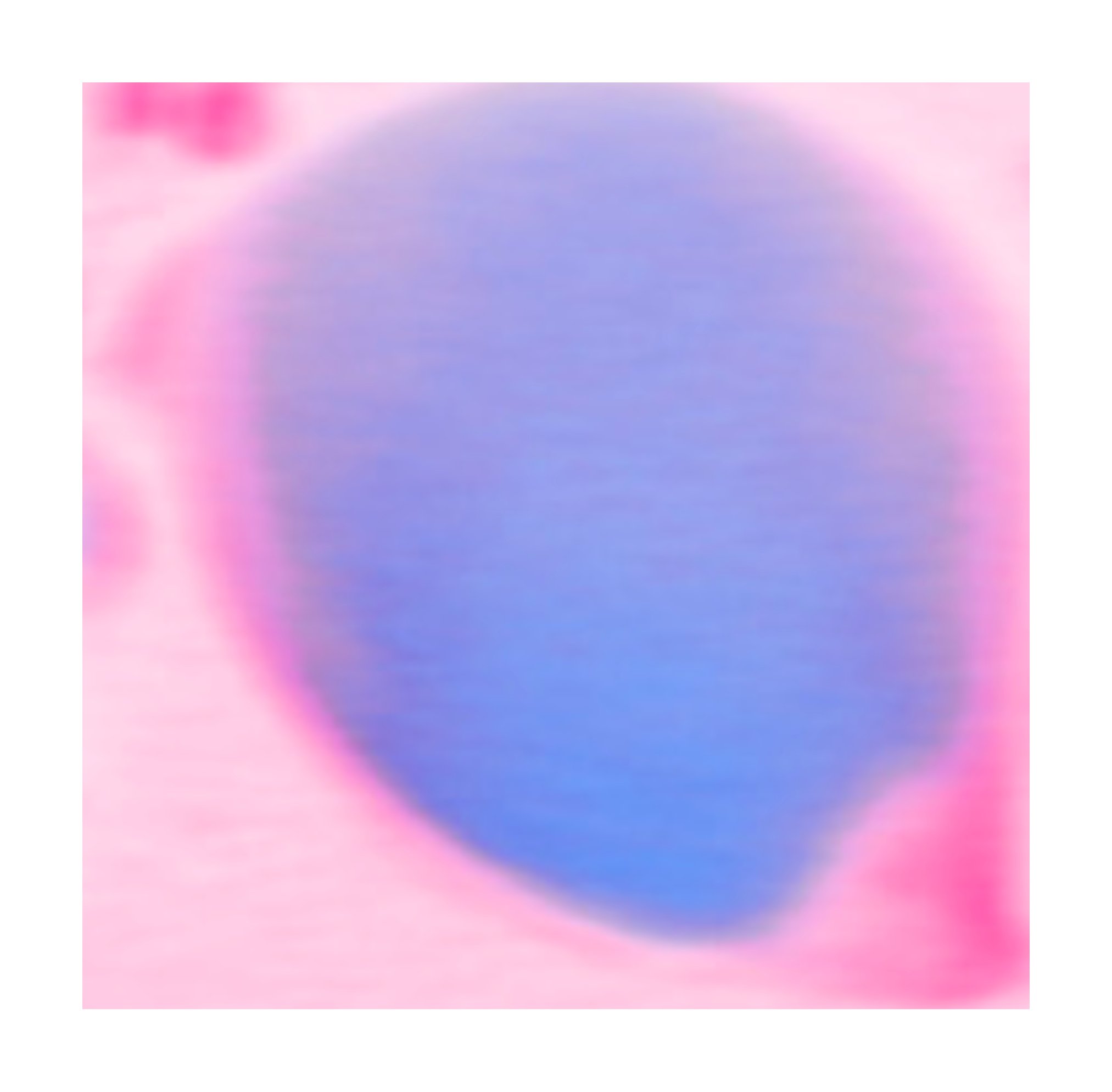 Exhalation 吐息之影