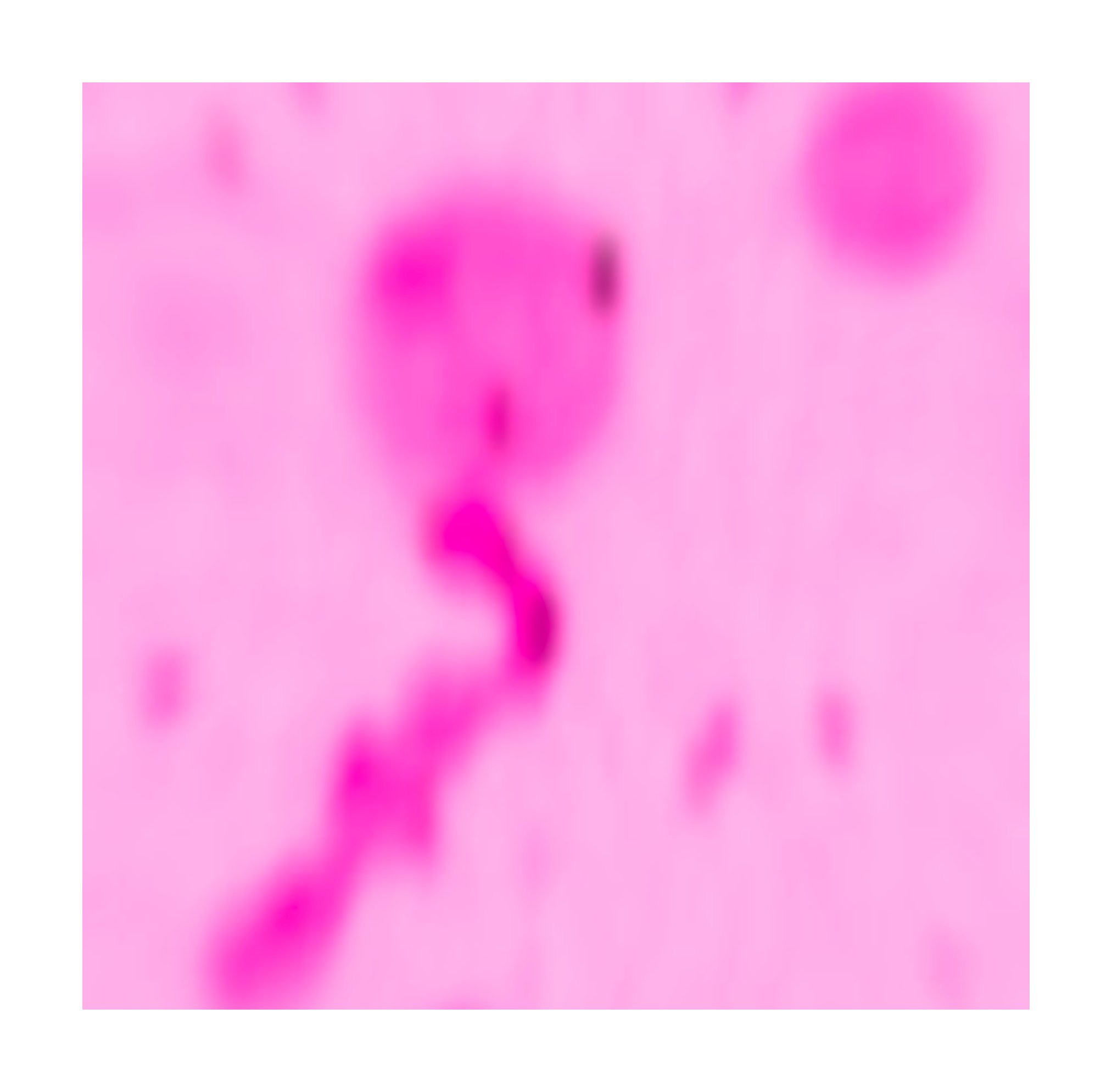 Viscous odyssey 粘性奥德赛