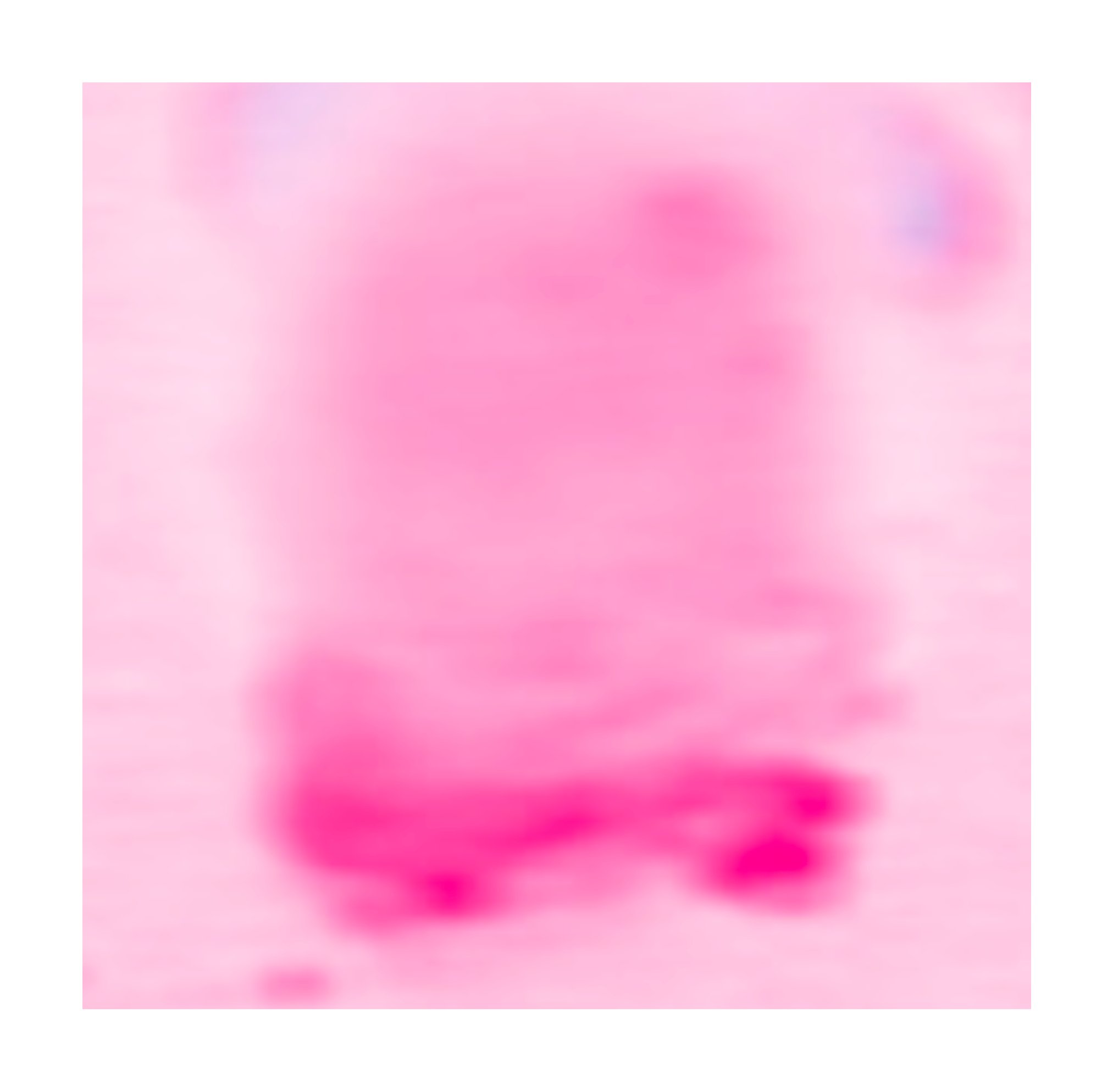 Portrait of magenta 洋红肖像