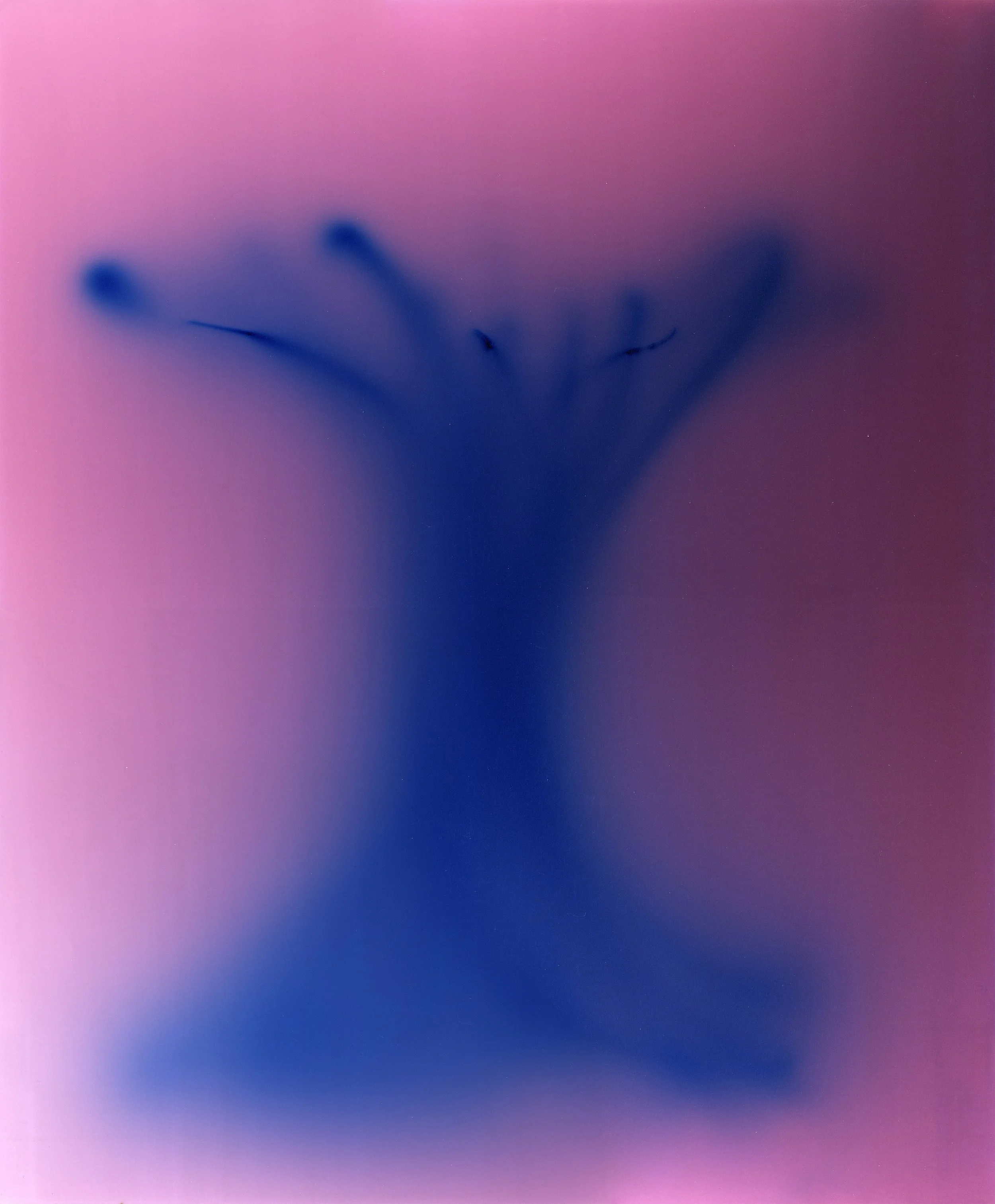 Entangle #12