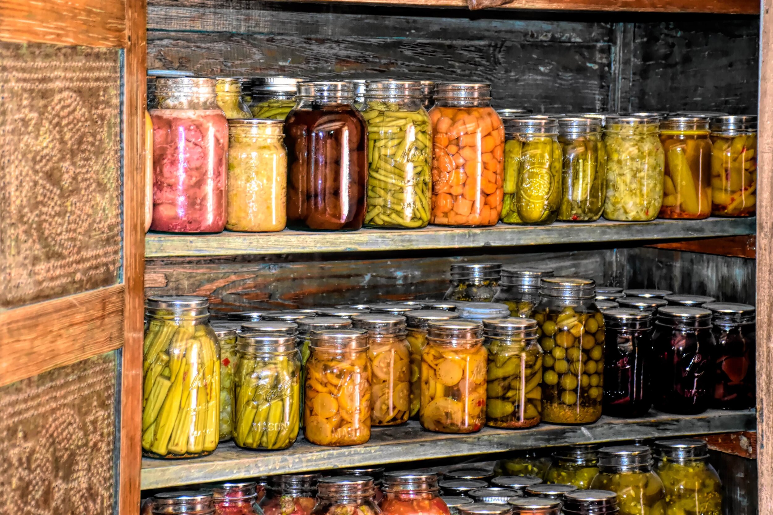 Fermentation: The Hidden Microbial World Behind Some of Your Favourite Foods
