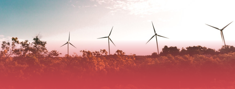 The Environmental and Human Cost of “The Green Revolution”
