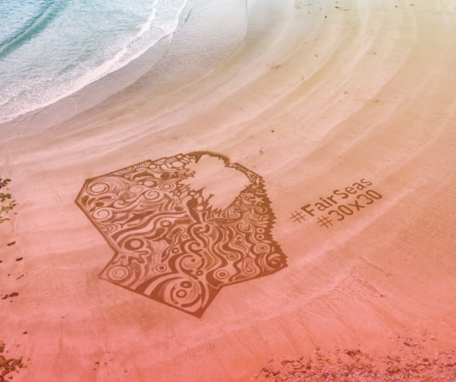 Paper Parks: Should we Rely on Marine Protected Areas to Protect our Oceans?