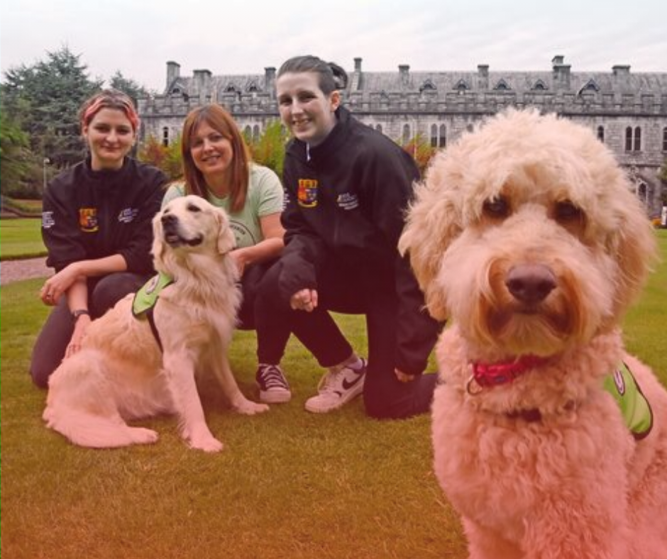 PAWS-ing for a Cause: My Canine Companions at UCC