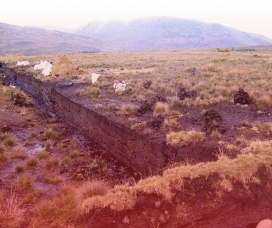 ‘The Fate of Archaeology is Tied to The Fate of Peatlands’ Says UCC Environmental Archaeologist Dr Benjamin Gearey