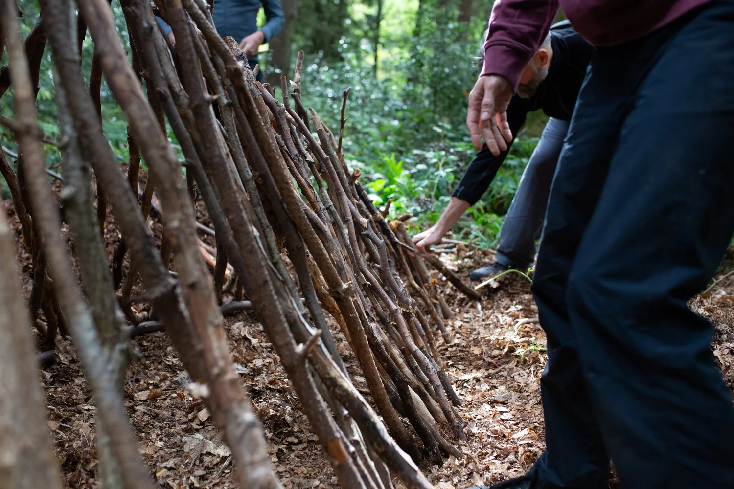 Bushcraft Training | Enhance Skills Now — Join Our Courses