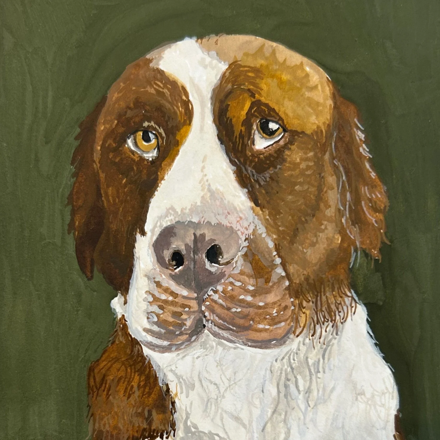 Dog Portraits