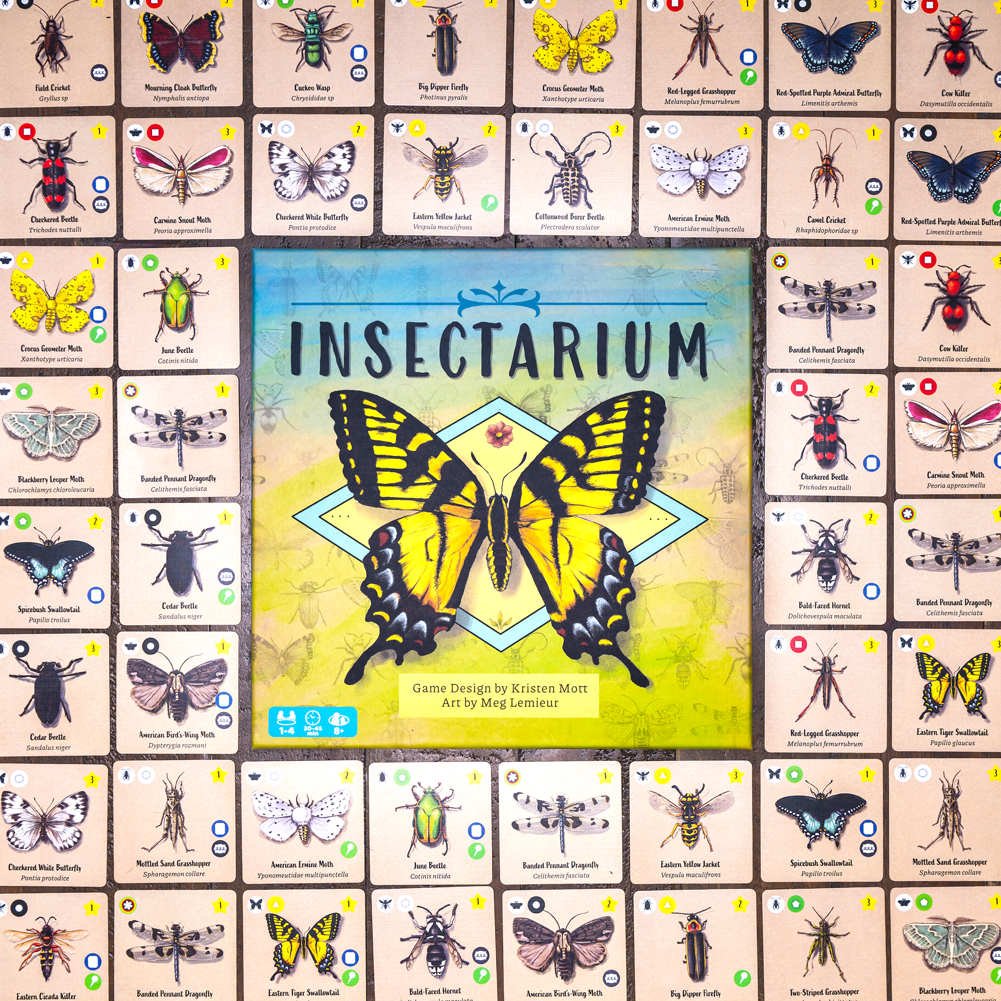 Insectarium-6_edit_sm.png