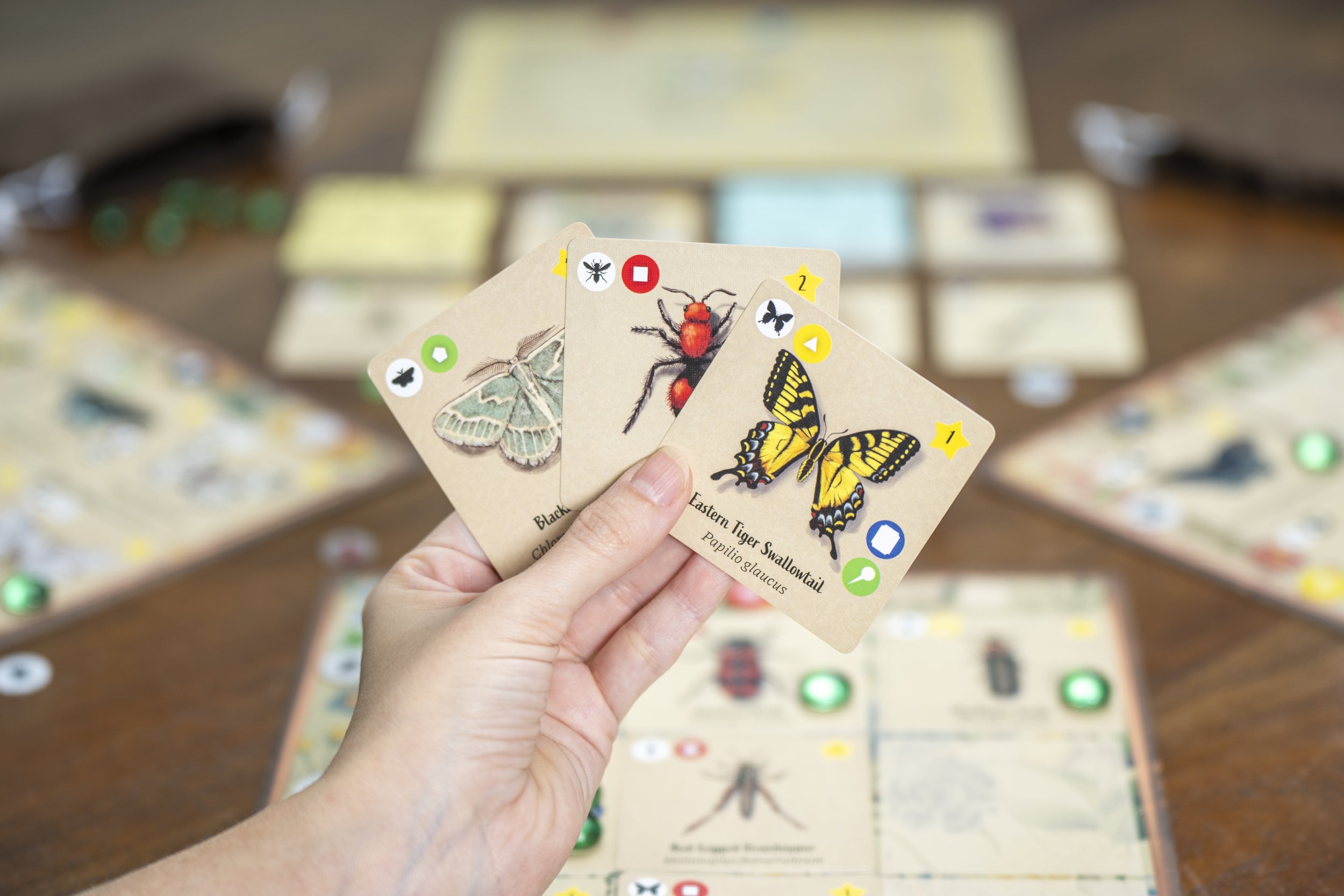 Insectarium-19.jpg