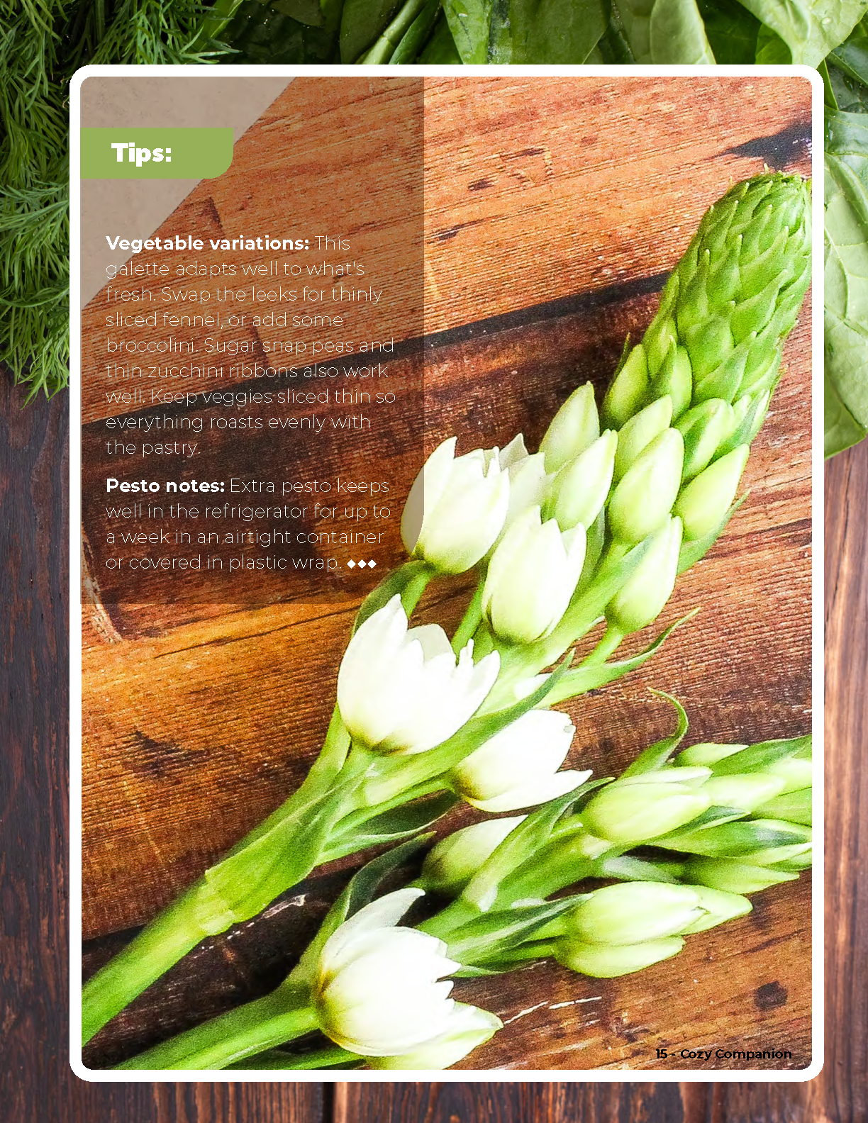 Cozy Companion March 2026_Page_15.png