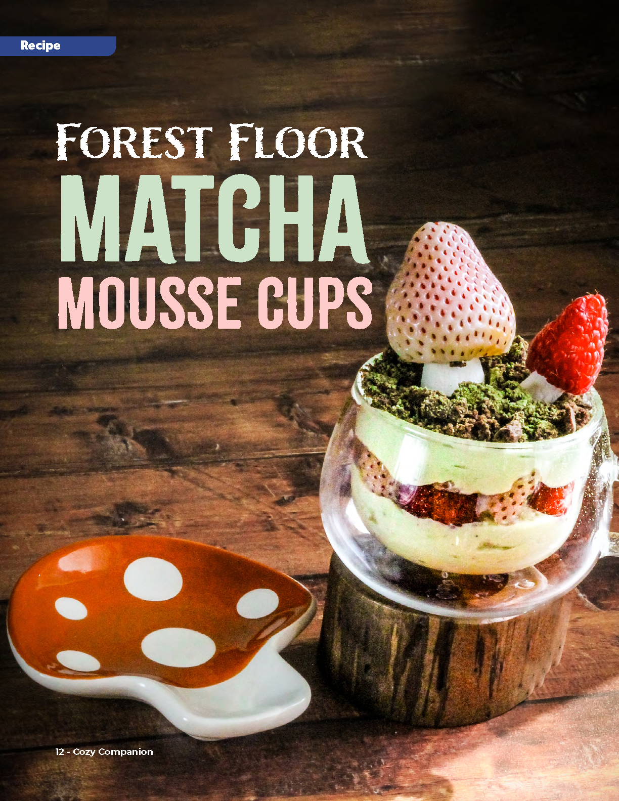 Cozy Companion April 2026_Page_12.png