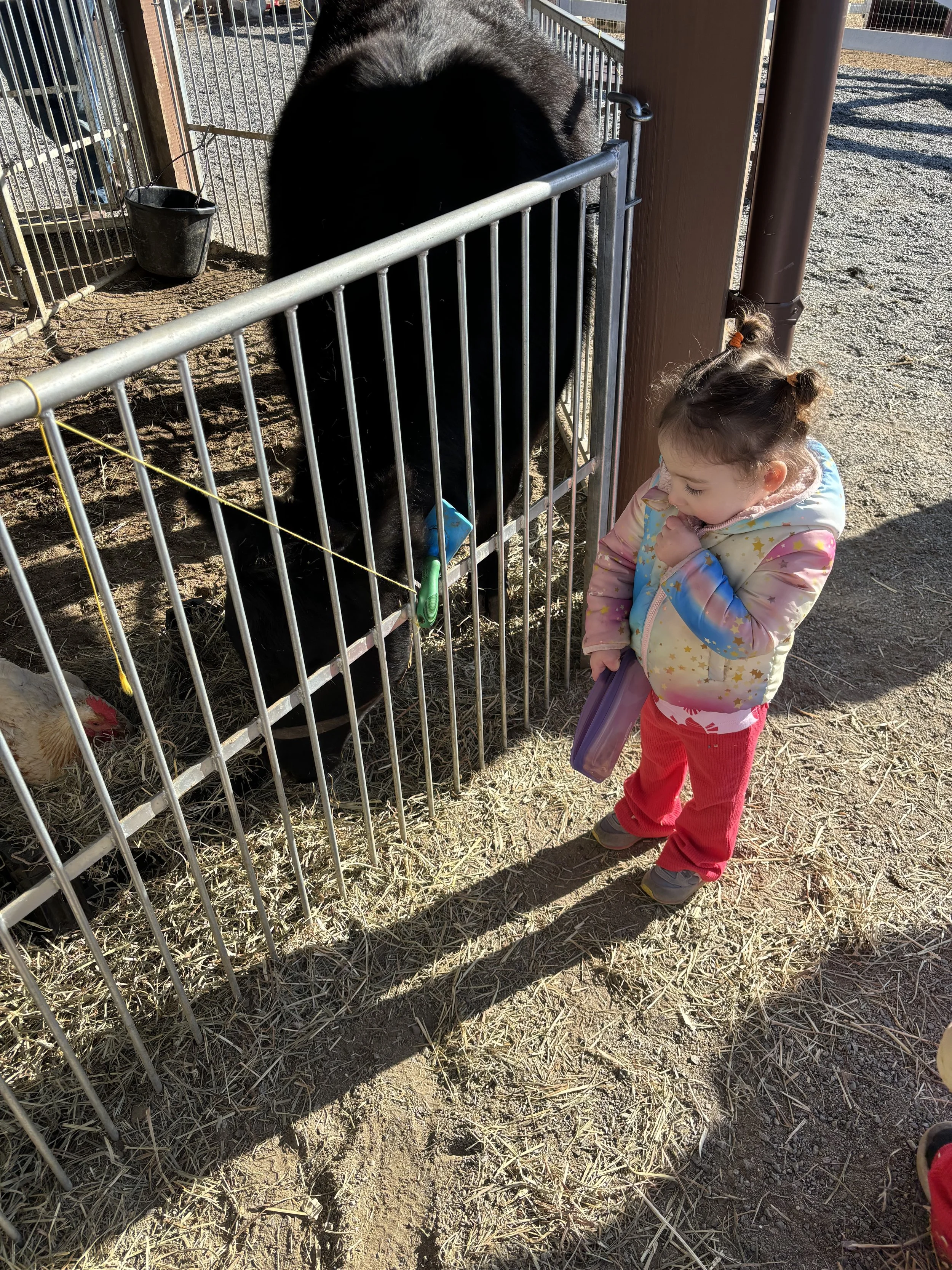 Antler Hill Village Farm