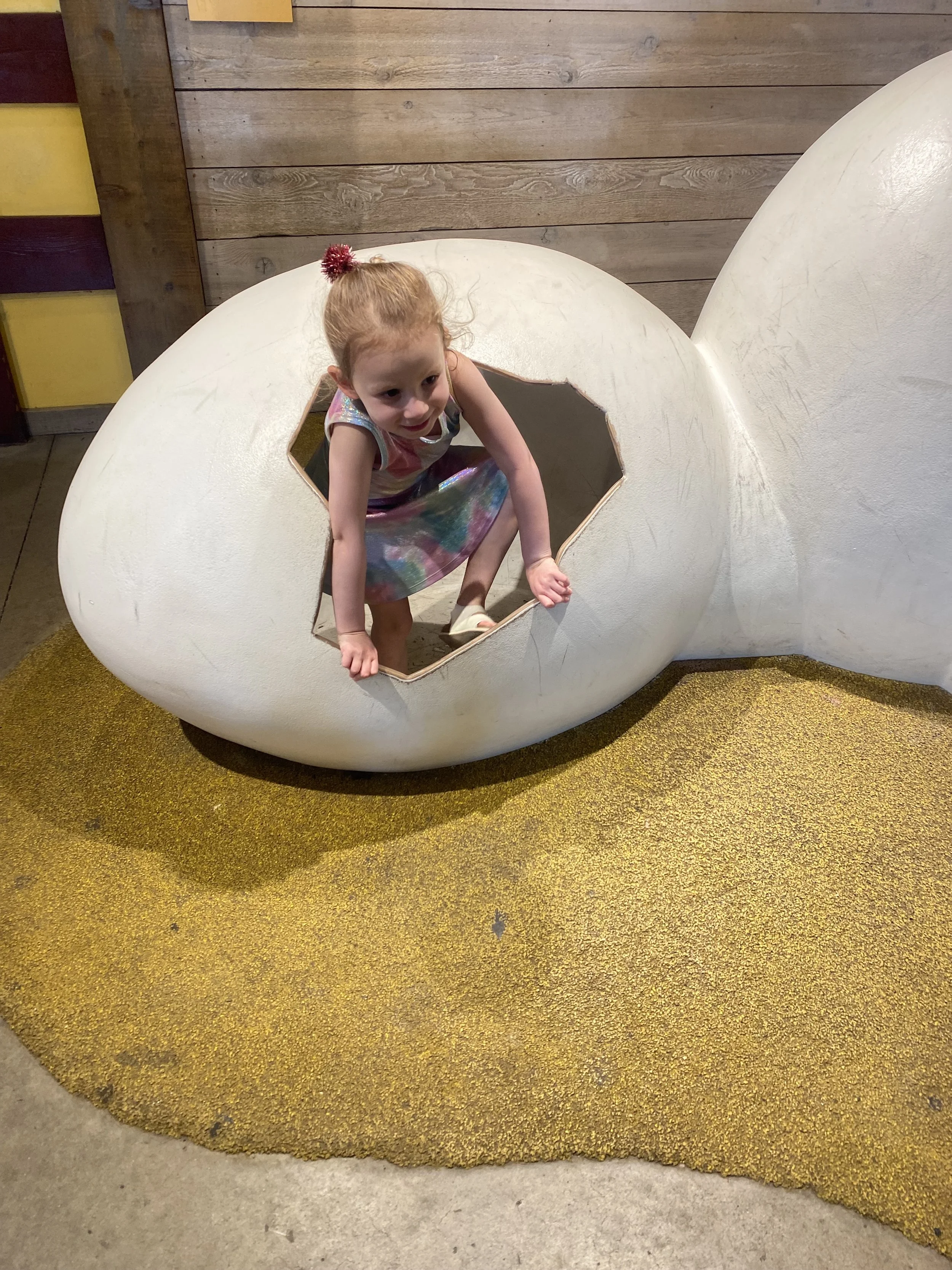 lincoln park zoo farm