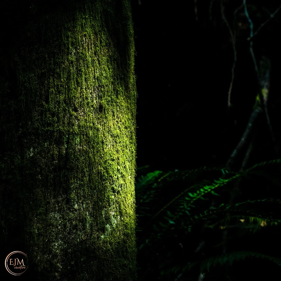 EWM_0643-Enhanced-Edit.jpg