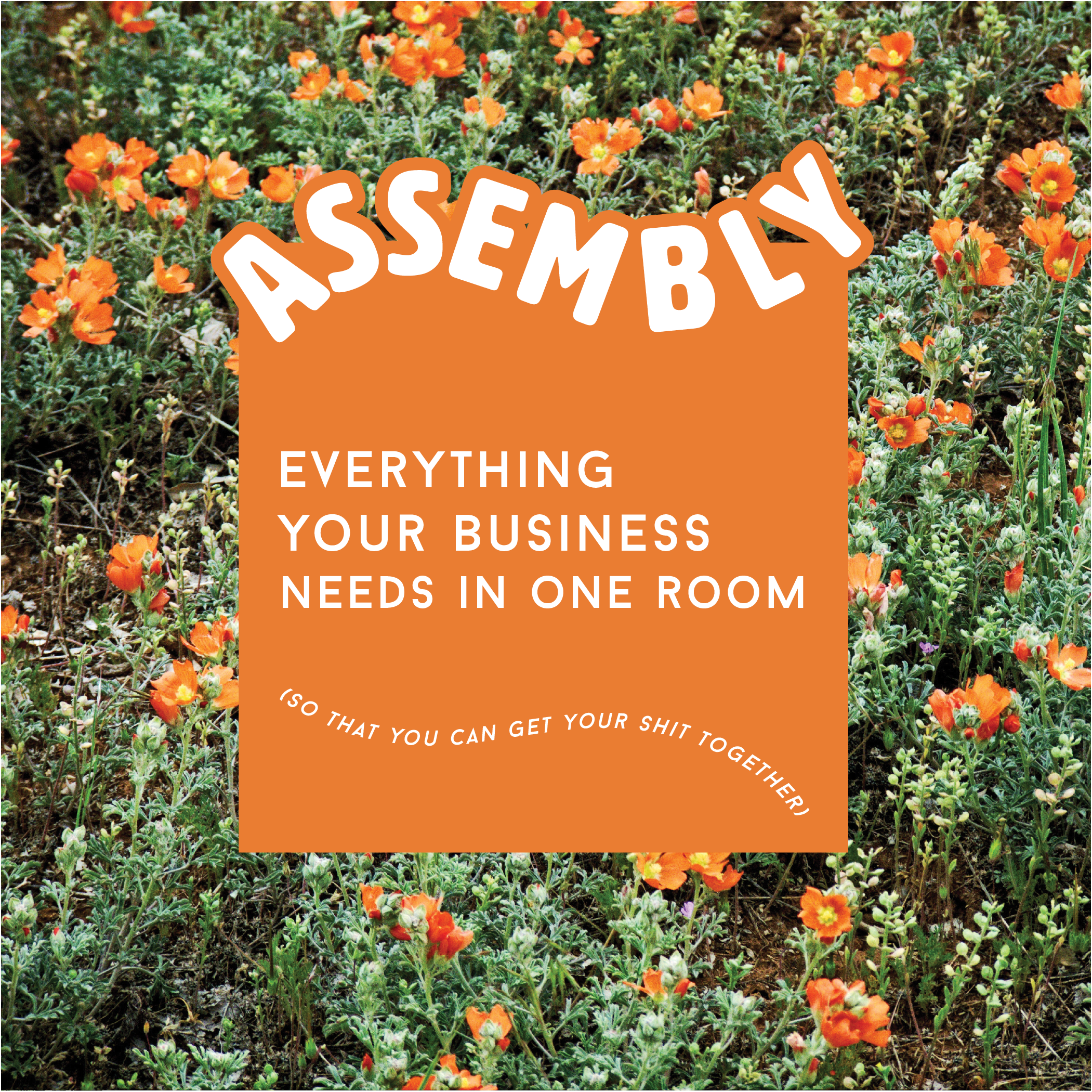 Assembly Mini Convention