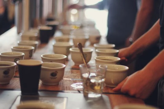 IMG_2571copy copy.jpg