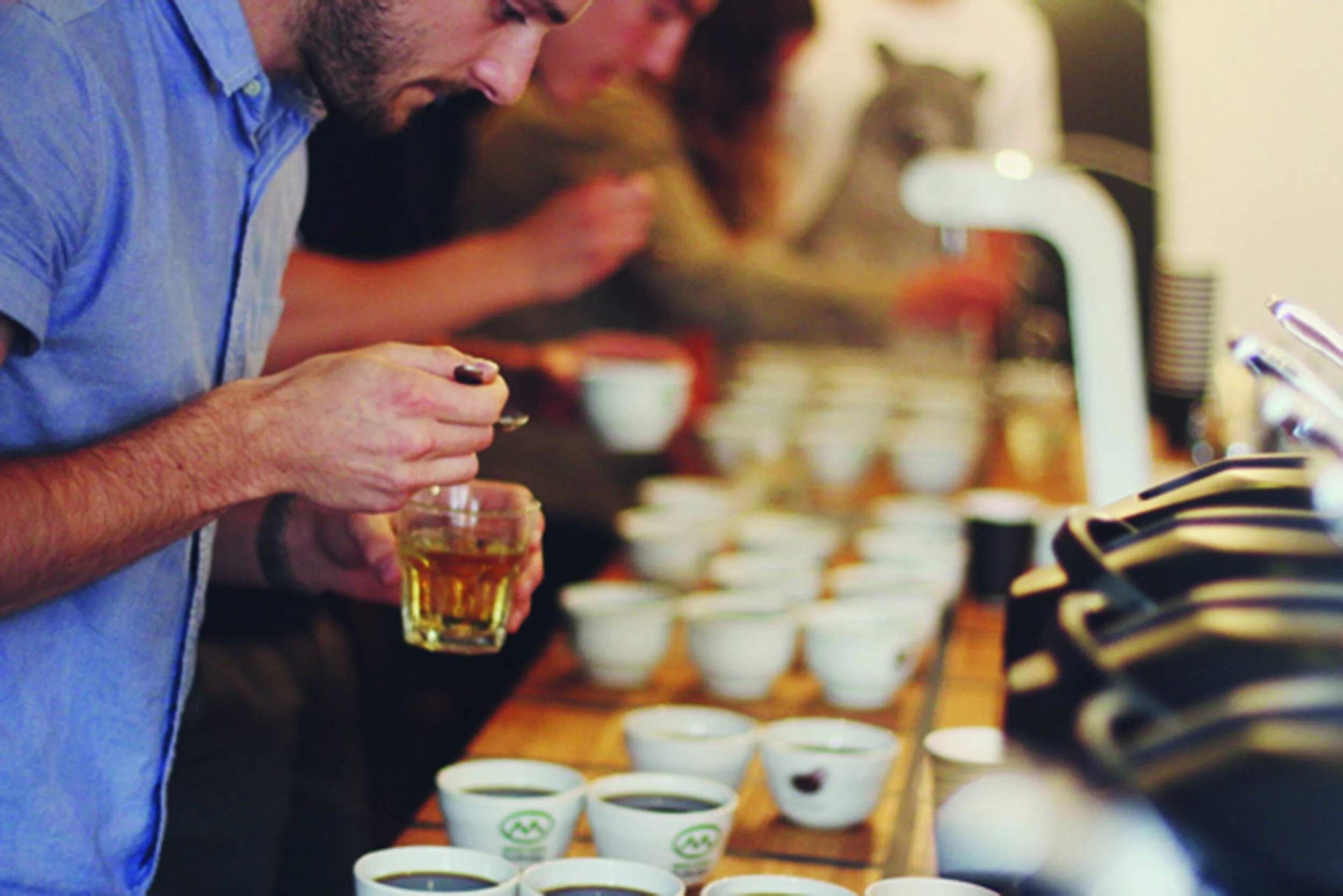 IMG_2539 copycopy.jpg