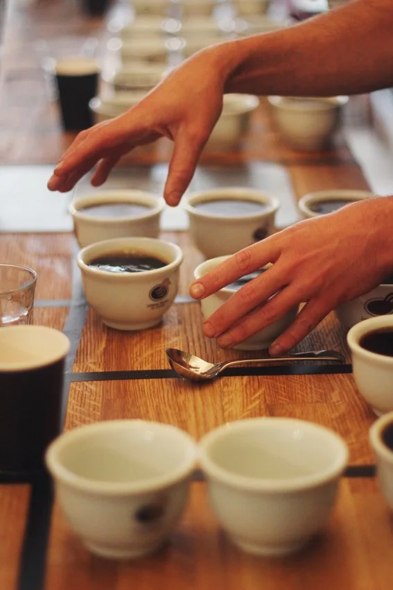 IMG_2510 copycopy.jpg