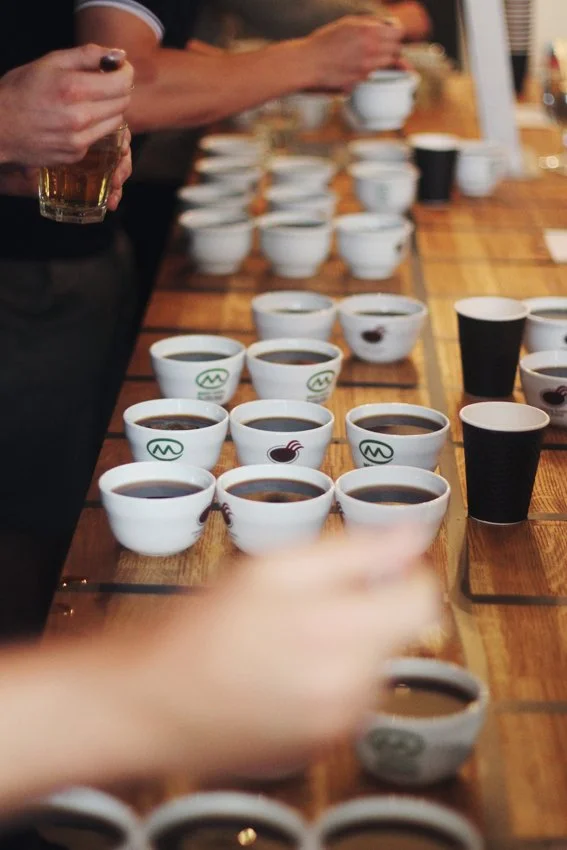 IMG_2541 copycopy.jpg