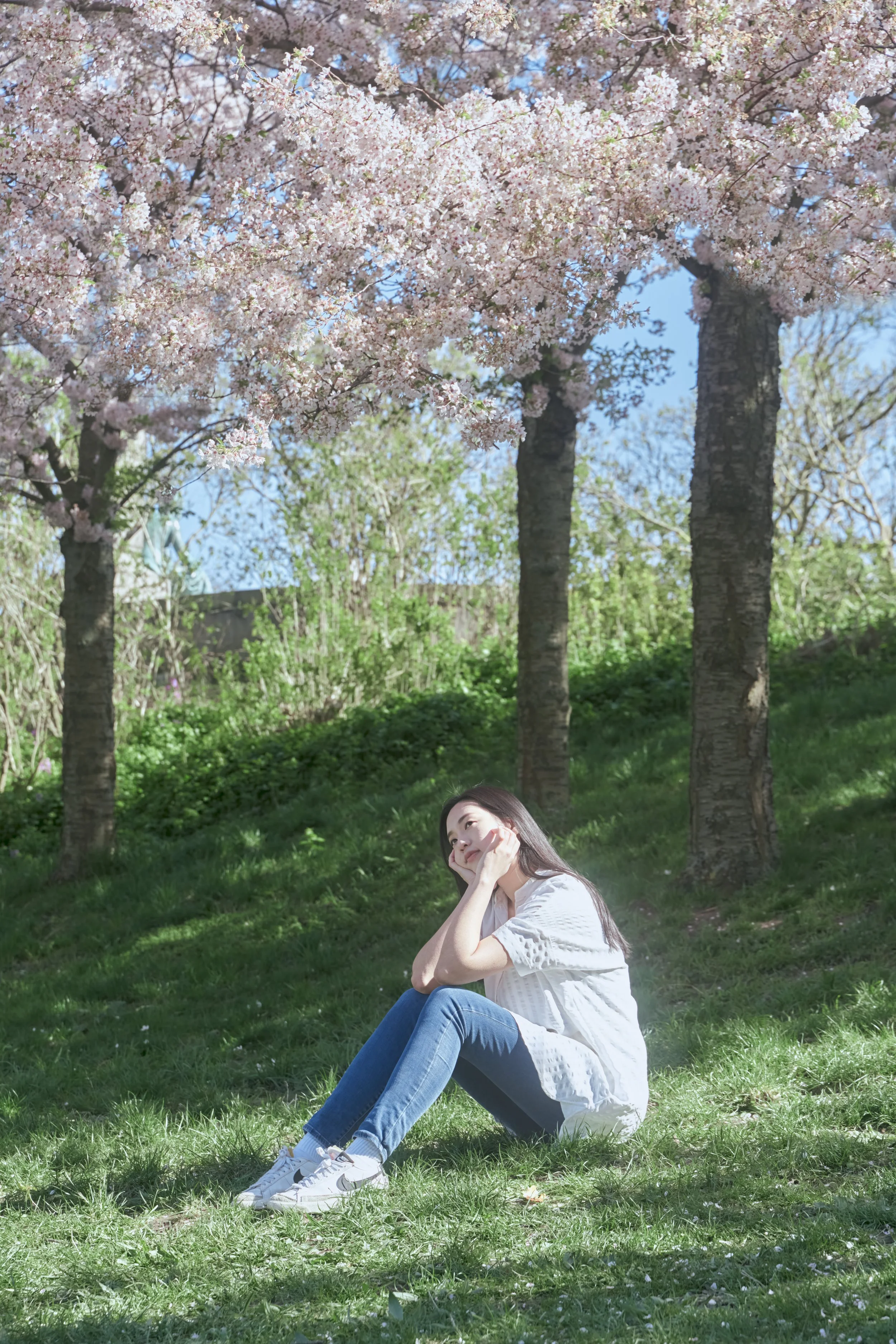 Young woman sitting on grass under cherry blossom trees, looking up thoughtfully.