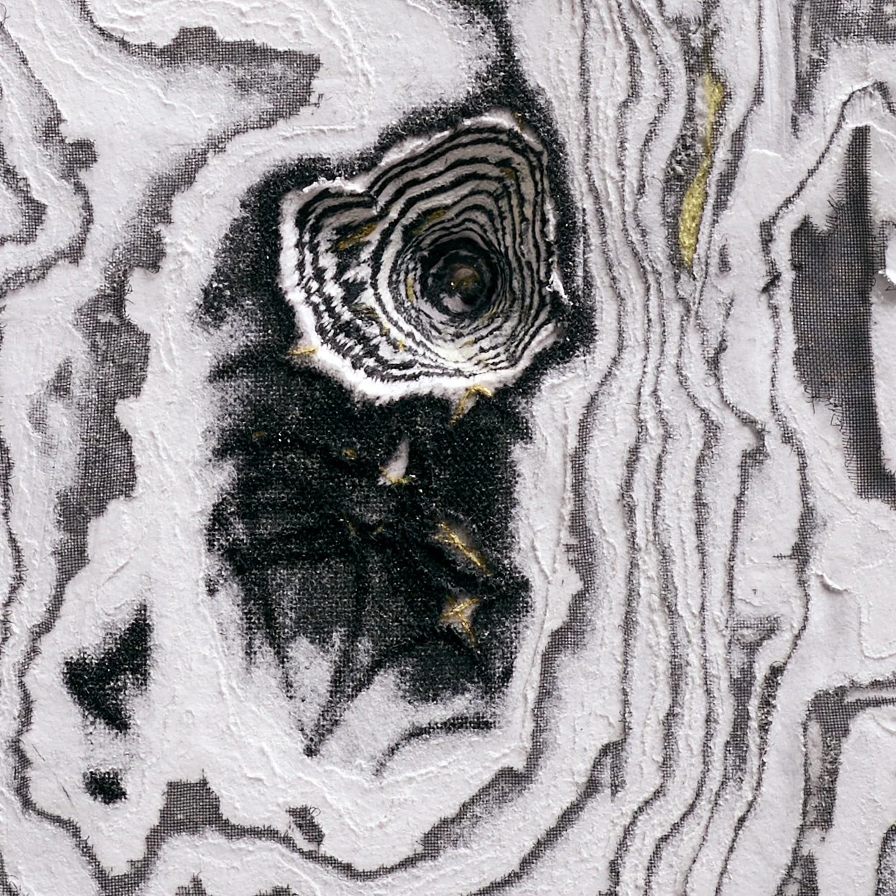 Macro detail of Ringed Aperture highlighting carved paper relief and internal structure