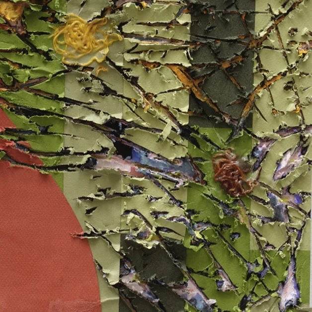 Macro detail of Hesticybe highlighting carved paper relief and internal structure