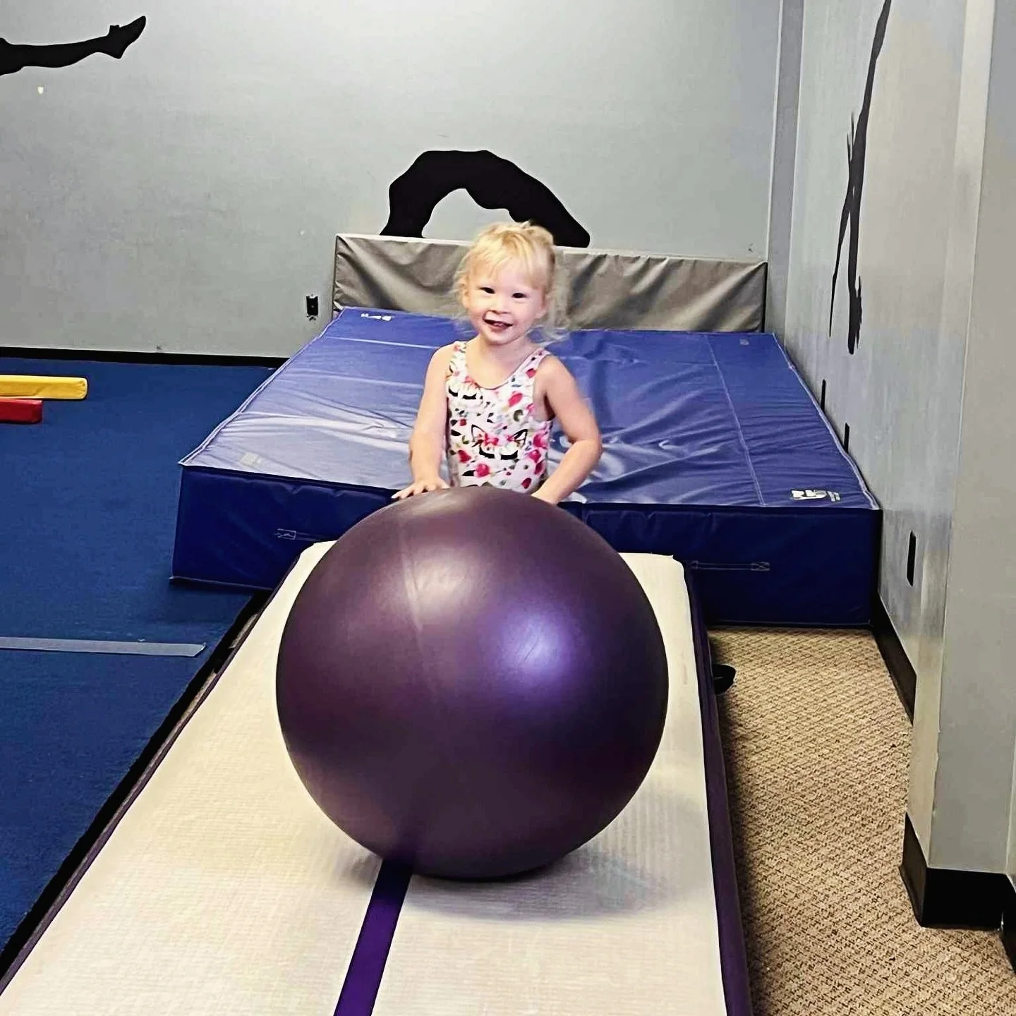 Our tiny tumblers are mastering the basics and having a blast!
&hellip;
#seriousdancingseriousfun #dazzledance  #dancecompany  #dazzle #munciedancestudio
#munciedance #yorktowndance
#yorktowndancestudio #tumble