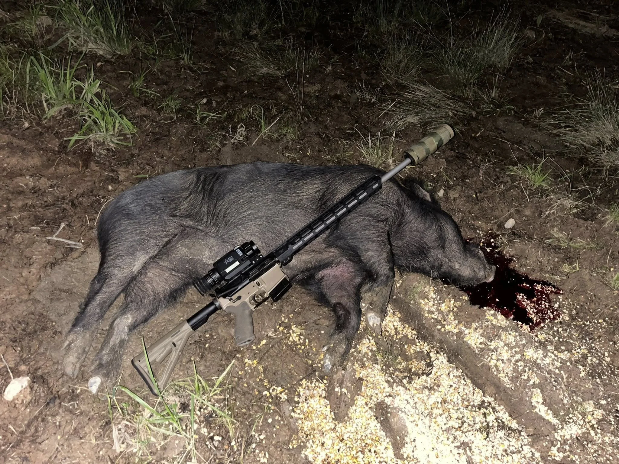 508580057_1386189939931424_7709871710564851012_n.jpg