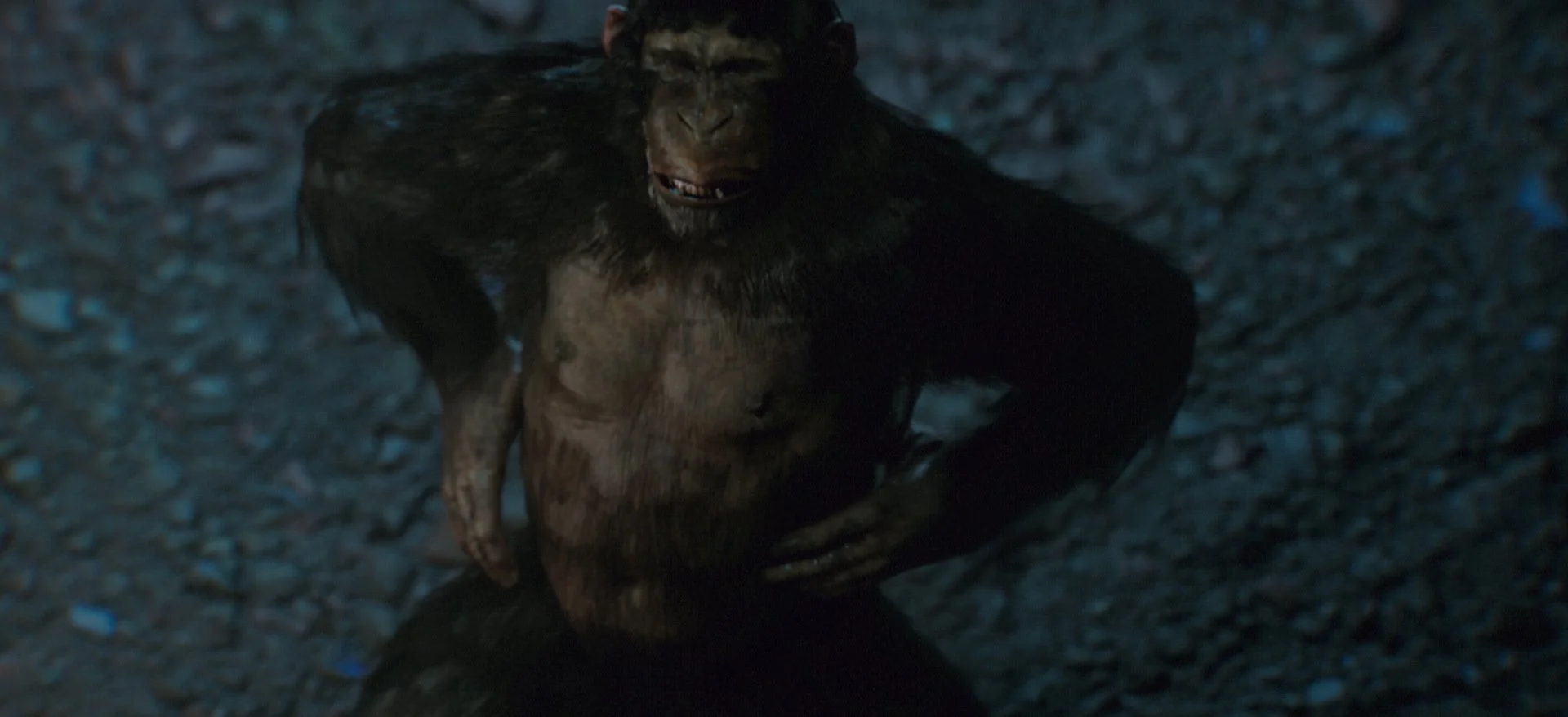 DE_MotL_R_v03_Brighter_v02 (0-01-00-06).jpg