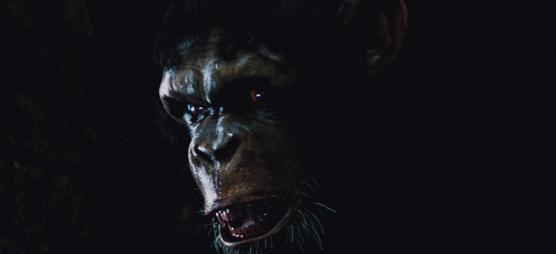 DE_MotL_R_v03_Brighter_v02 (0-00-19-22).jpg