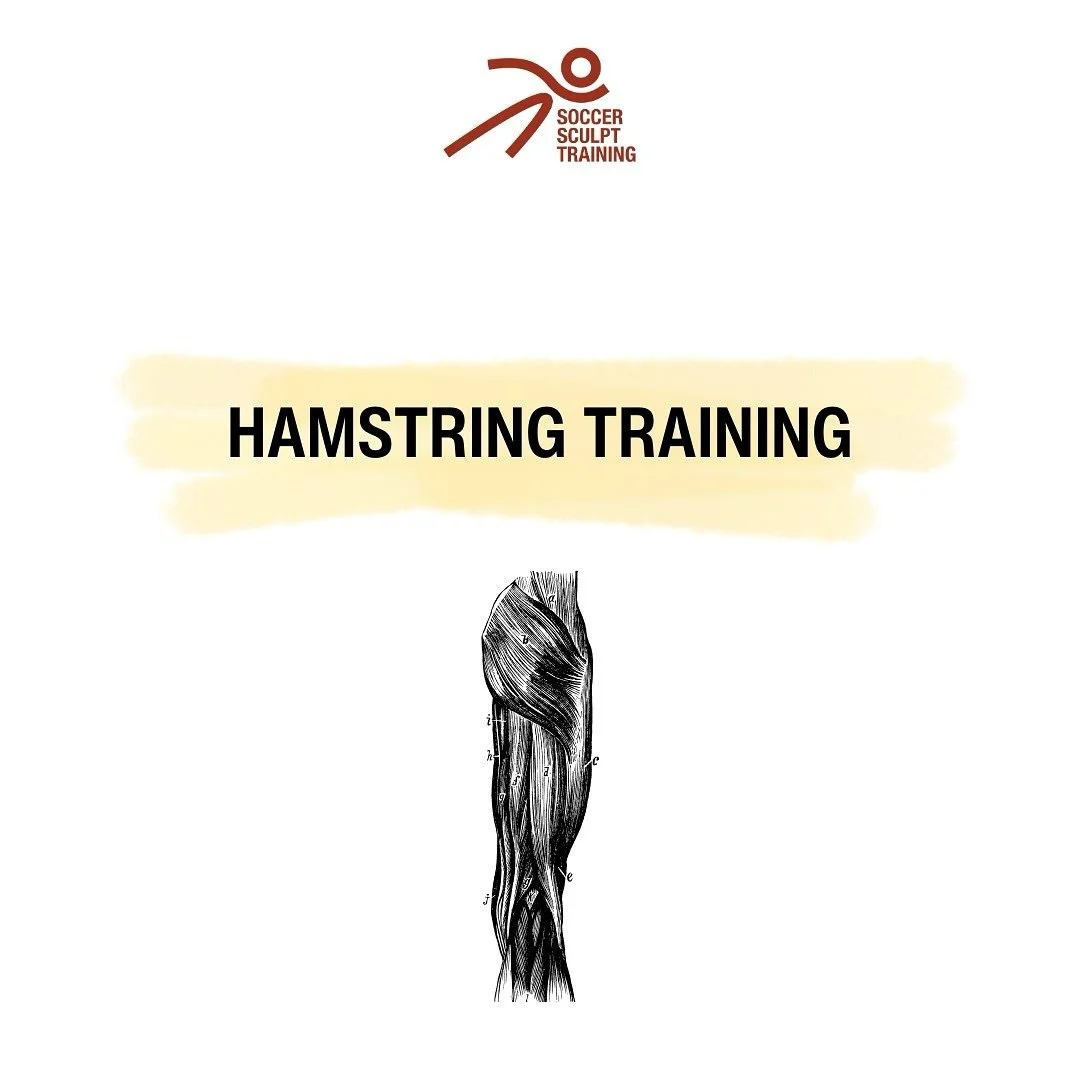 Ganzheitliches HAMSTRING Training ⚽️

Hamstring Verletzungen sind bei Spielsportler*innen bekannt und gef&uuml;rchtet.

Um das Verletzungsrisiko zu reduzieren, sollten wir diese ganzheitlich trainieren.

#hamstrings #injuryprevention #prehab #rehab #