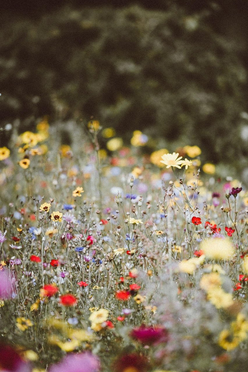 Why Come to a Grief & Infidelity Coach?