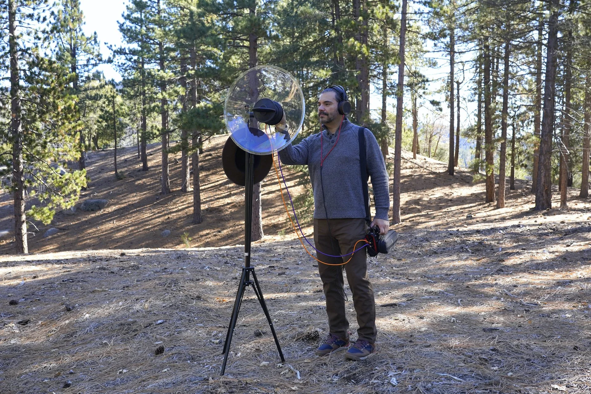 Headshot - fran dominguez.JPG