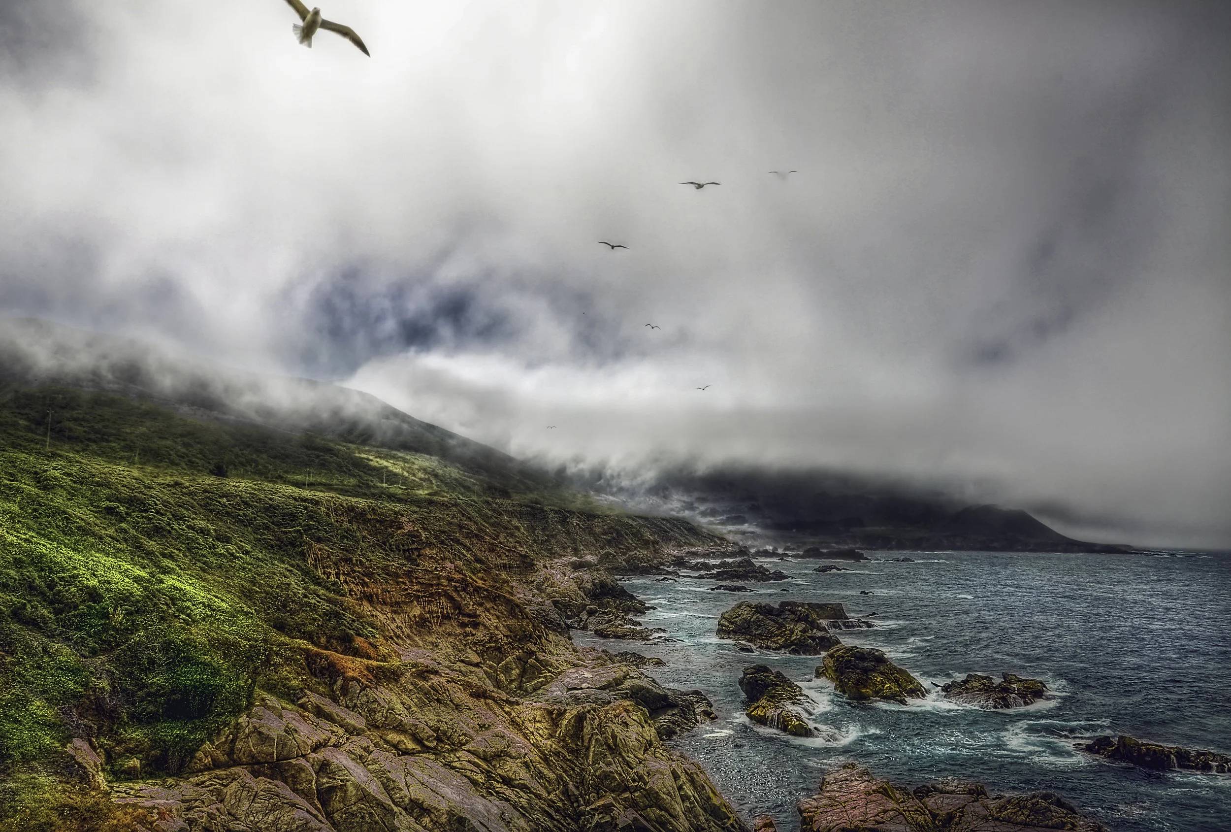 Big Sur Birdseye