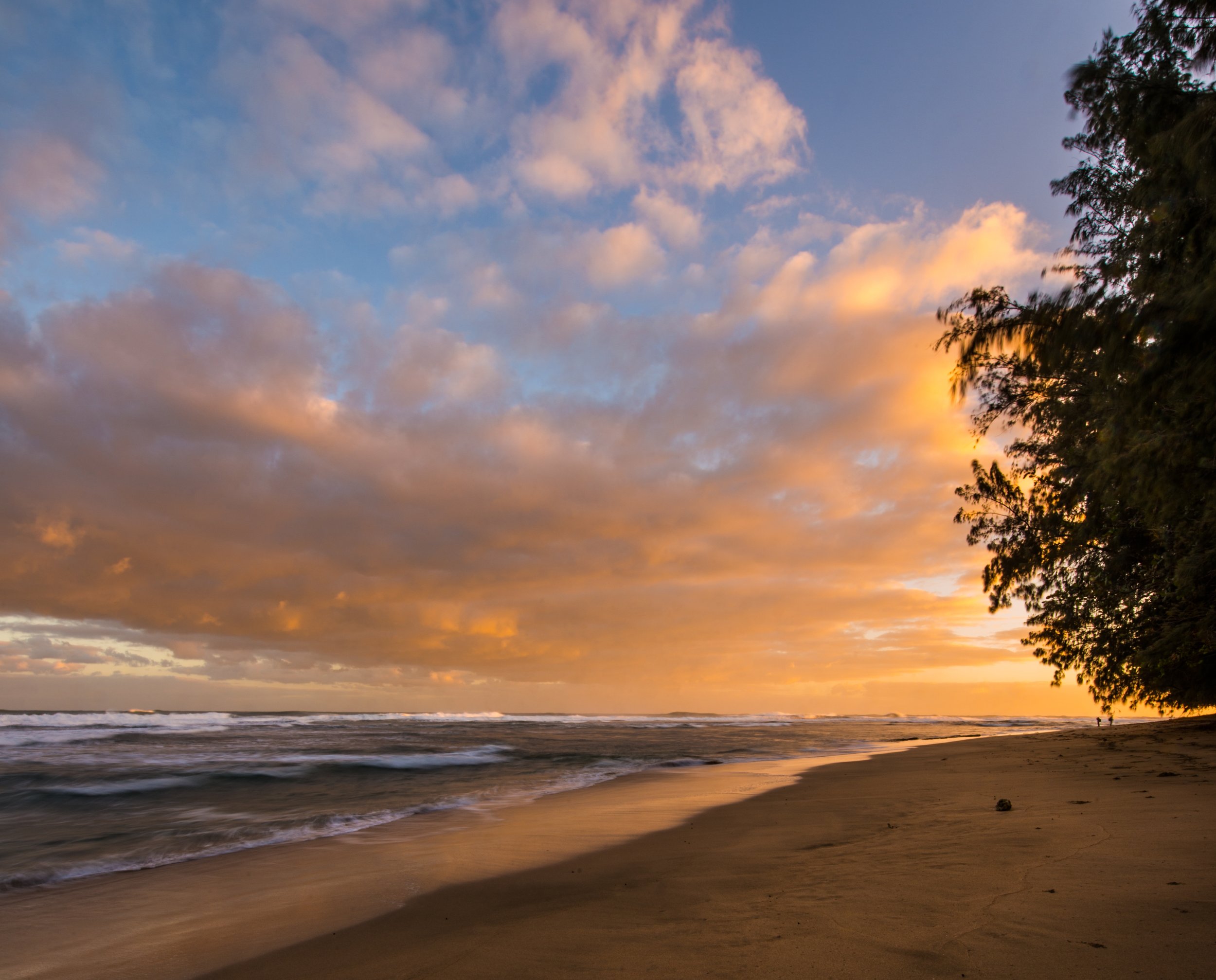 _DSC1730 Kee Beach Sunrise panel_.jpg
