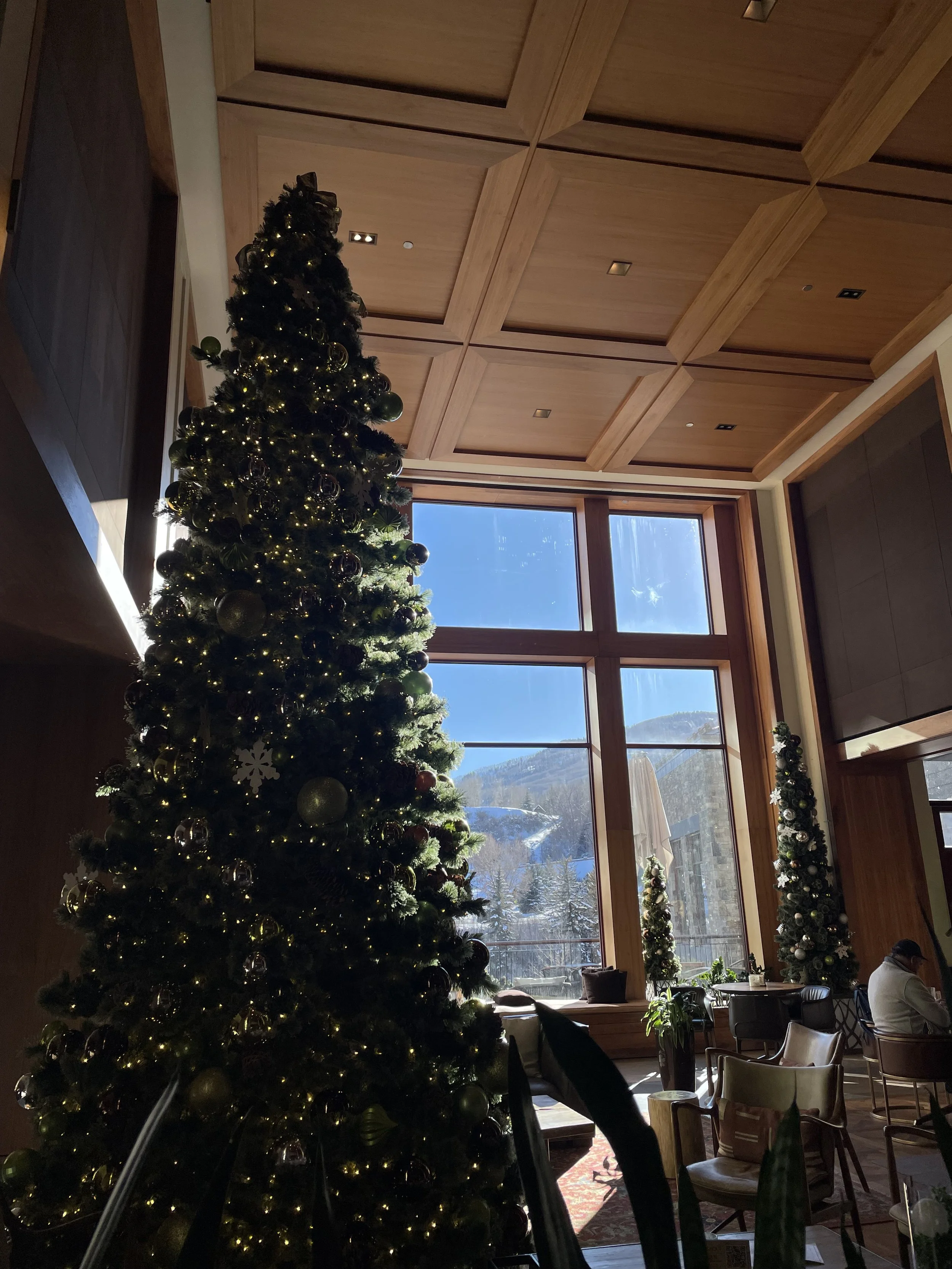 IMG_8006.jpeg
