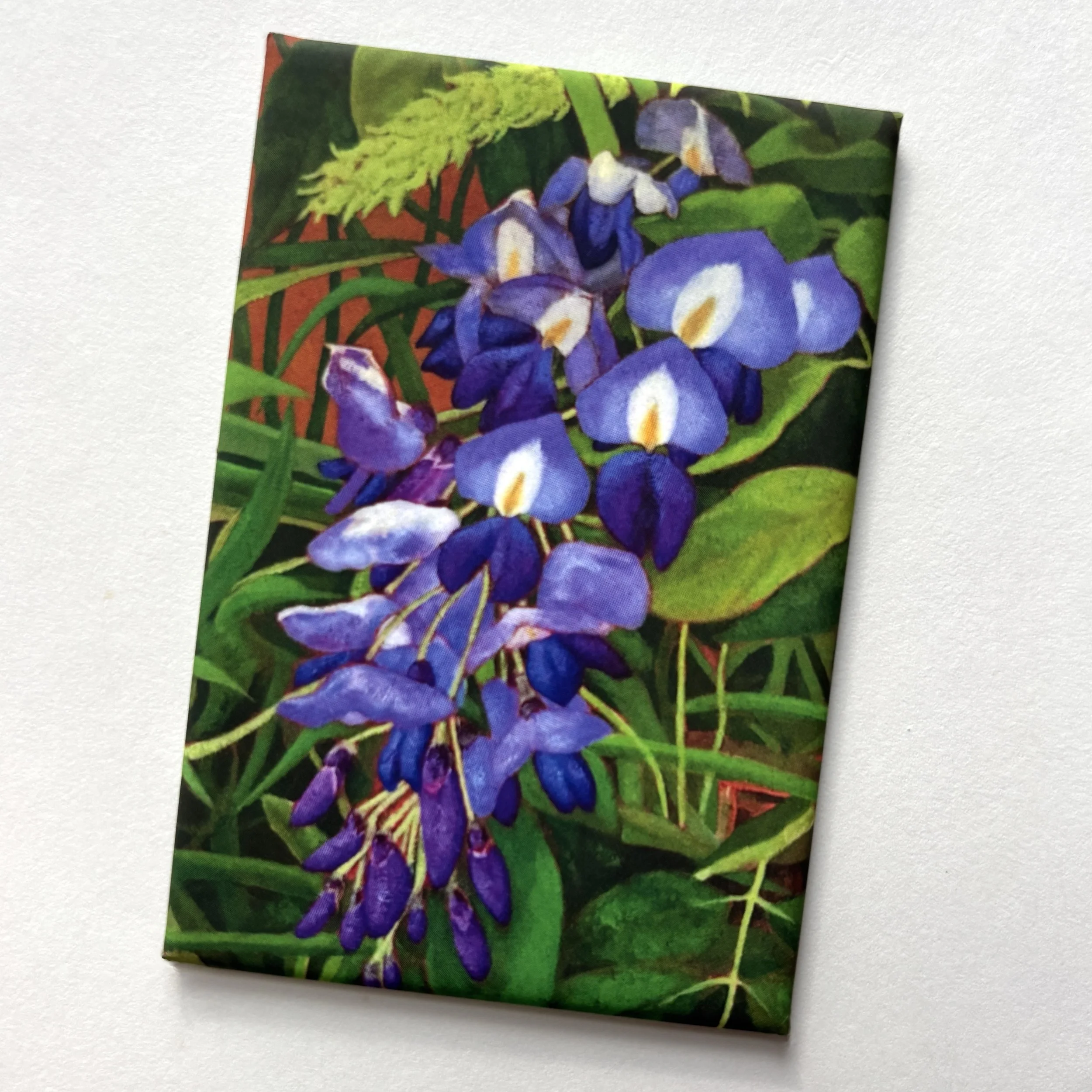 Wisteria by Library 2x3 inch fridge magnet: In Stock in Concord, MA
