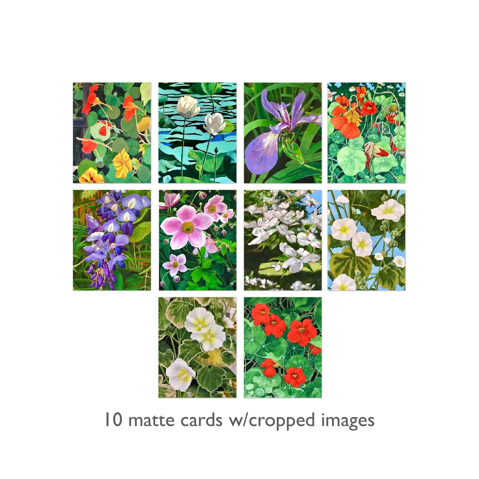 4.25x5.5 inch Mixed Floral Note Card Sets: In Stock in Concord, MA
