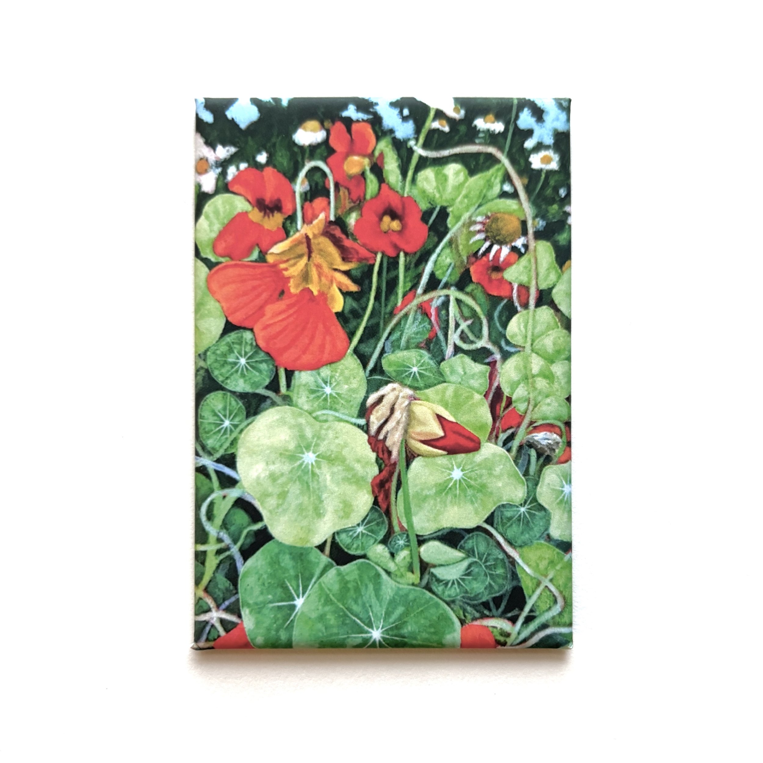 Summer Crowd Nasturtiums 2x3 inch fridge magnet: In Stock in Concord, MA