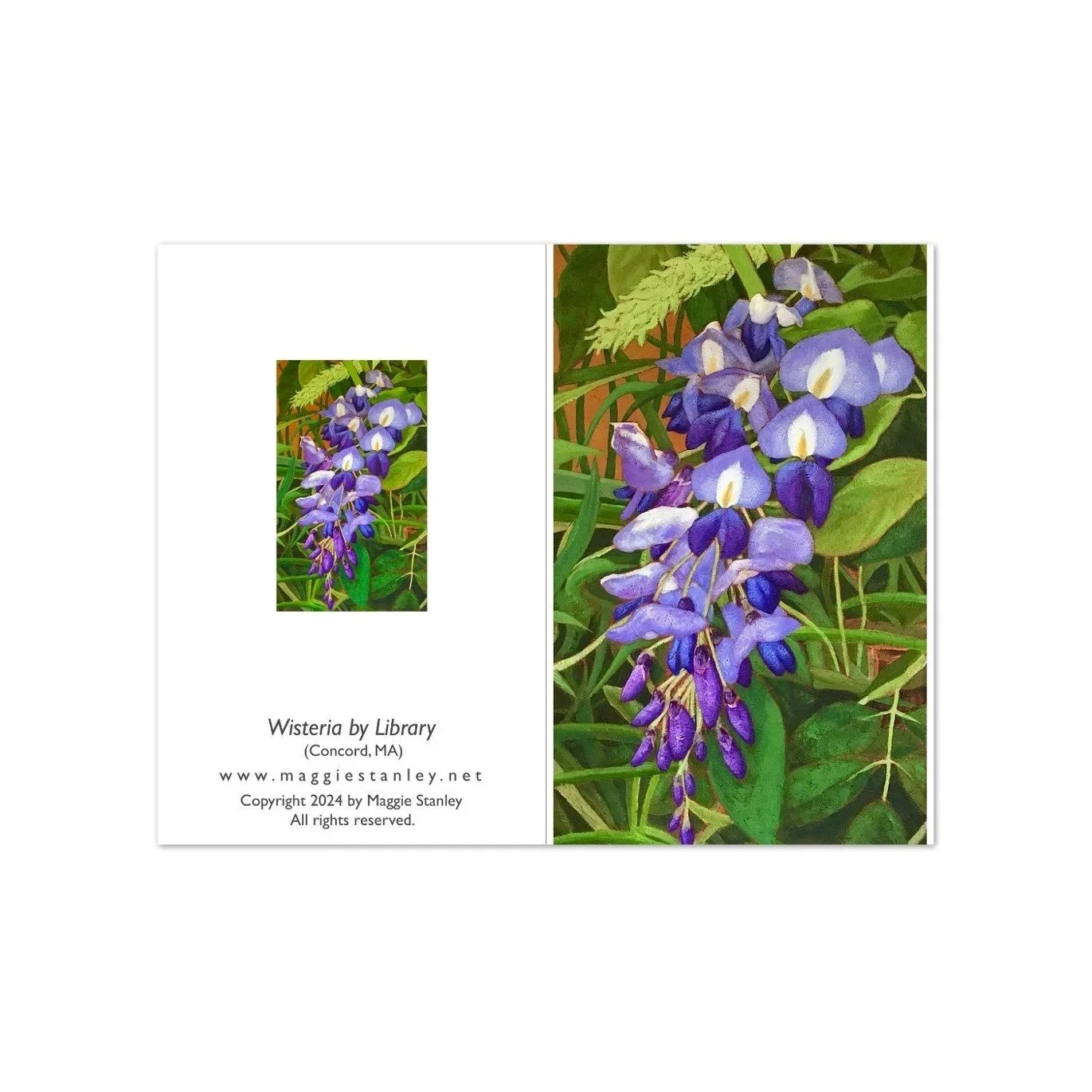 IMG_8448.webp (Copy)