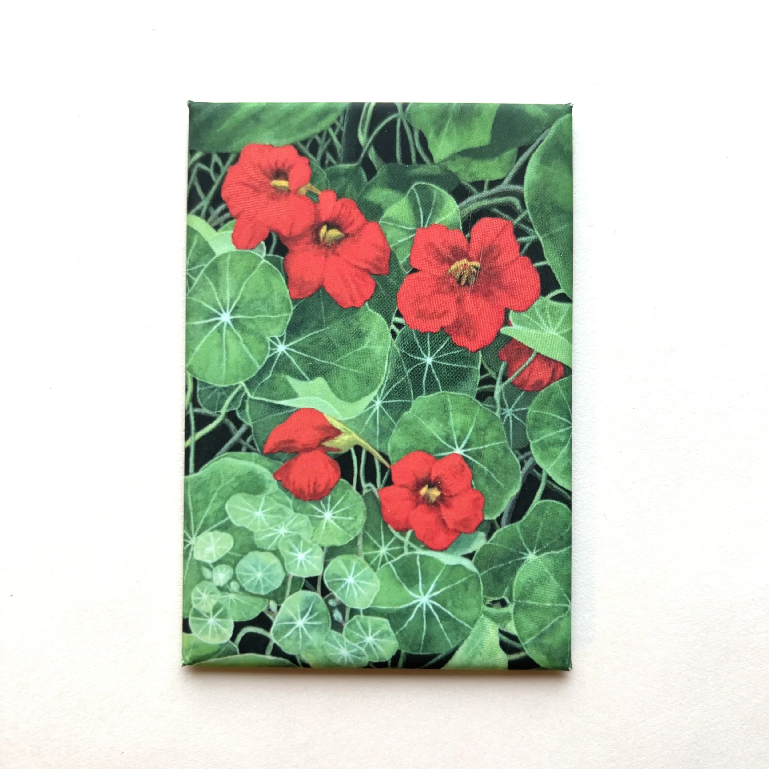 Community Garden Nasturtiums 2x3 inch fridge magnet: In Stock in Concord, MA