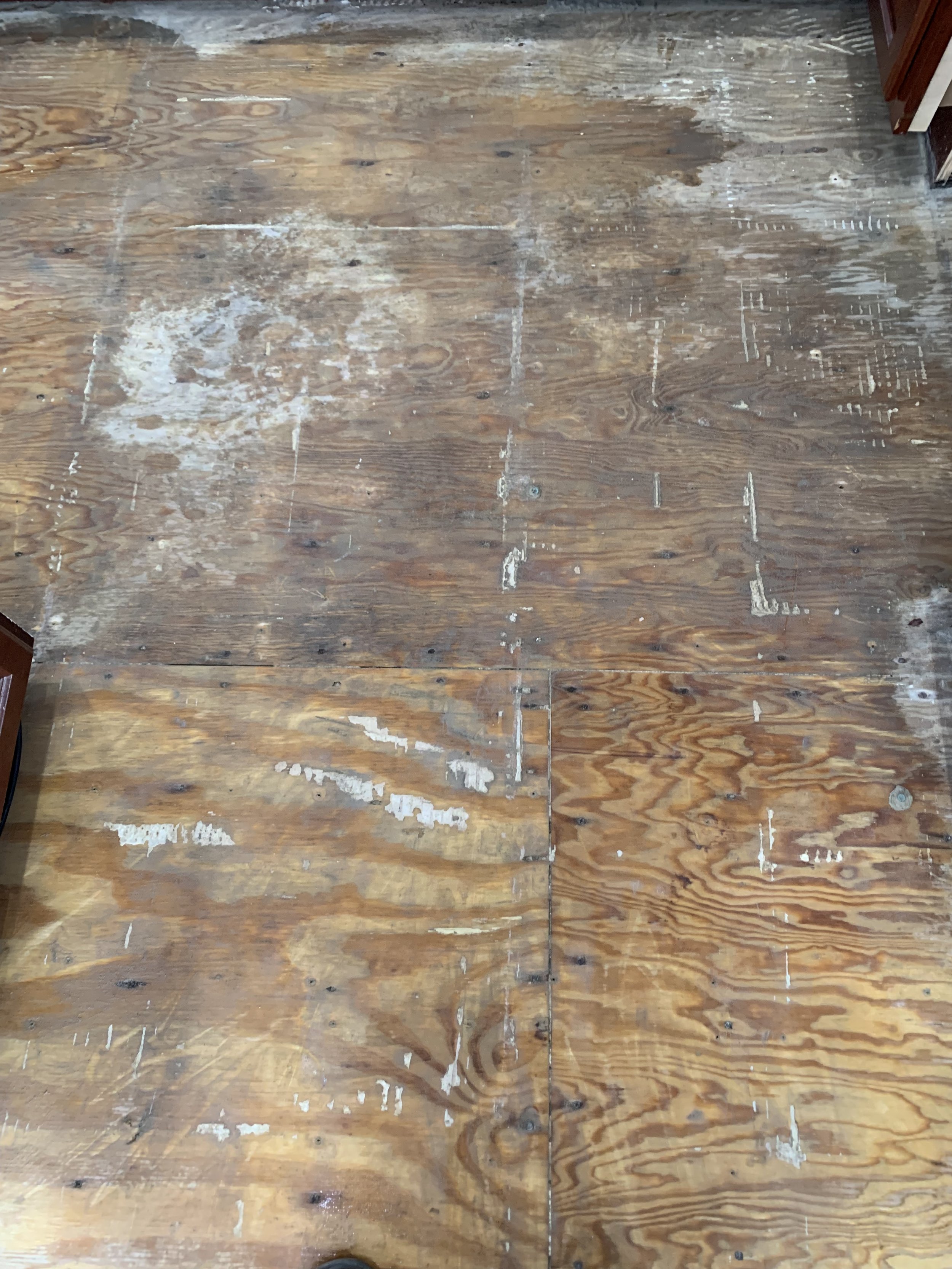 Water Damage Due To Leaking Dishwasher
(Before Photos)
