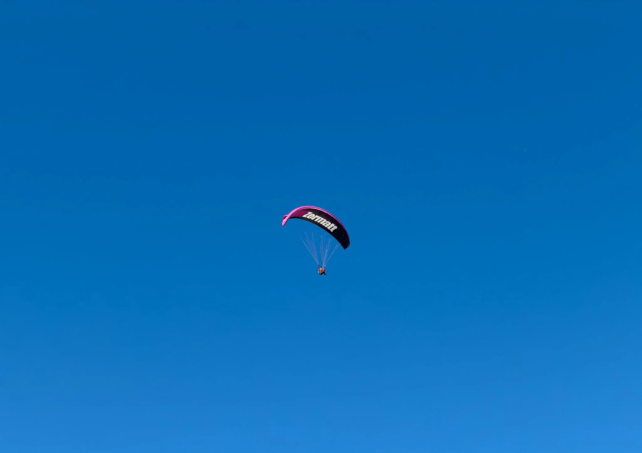 IMG_3842.jpg