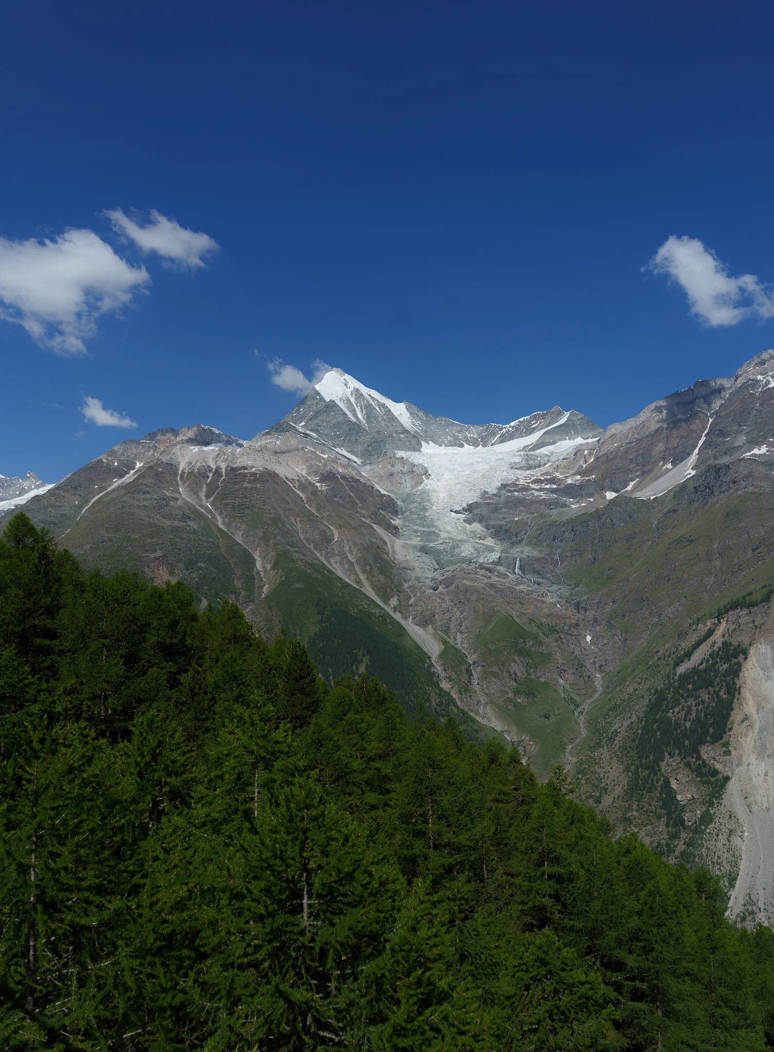 A7C01152.jpg