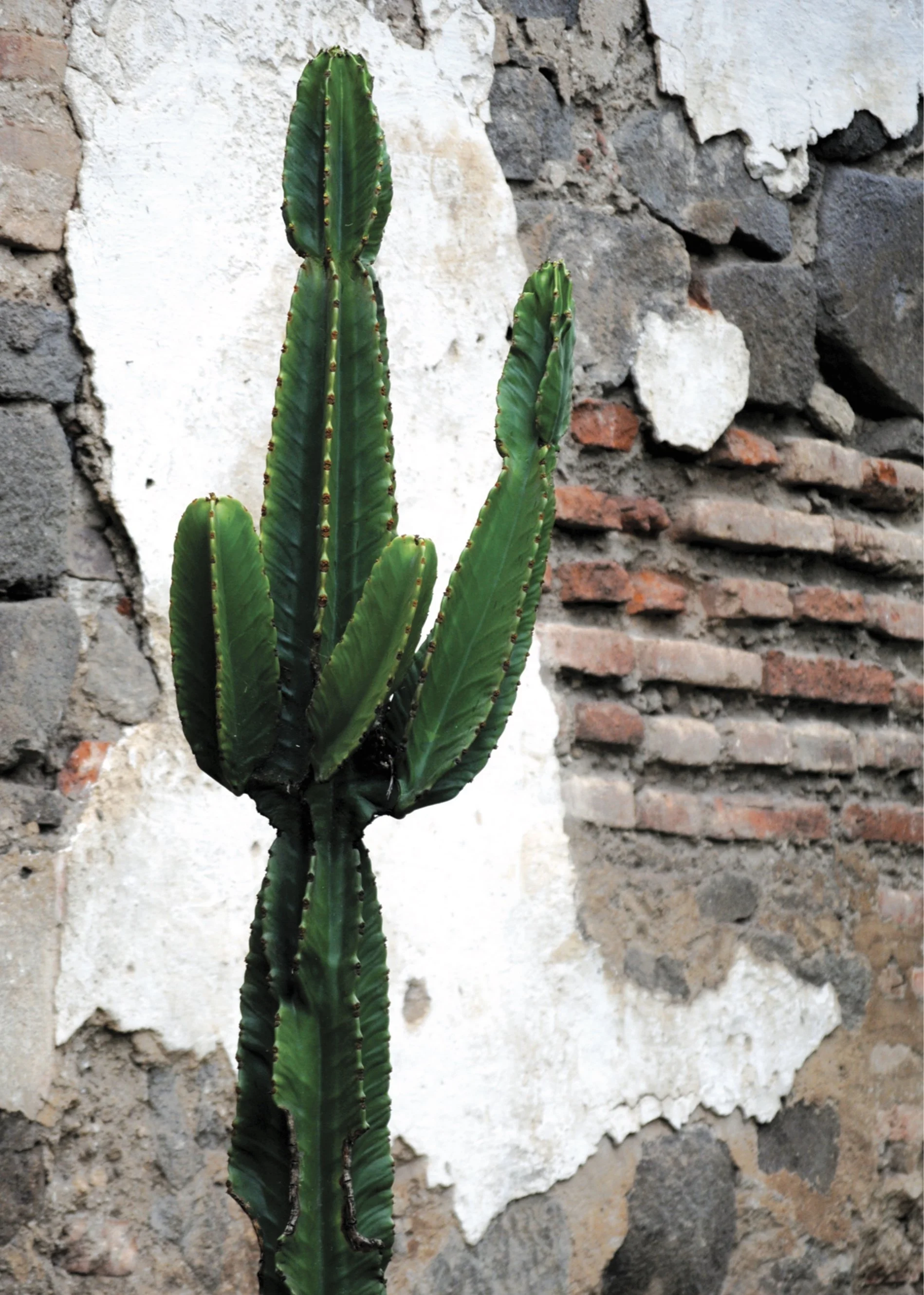 Screen Shot 2022-09-22 at 4.43.55 PM.jpg