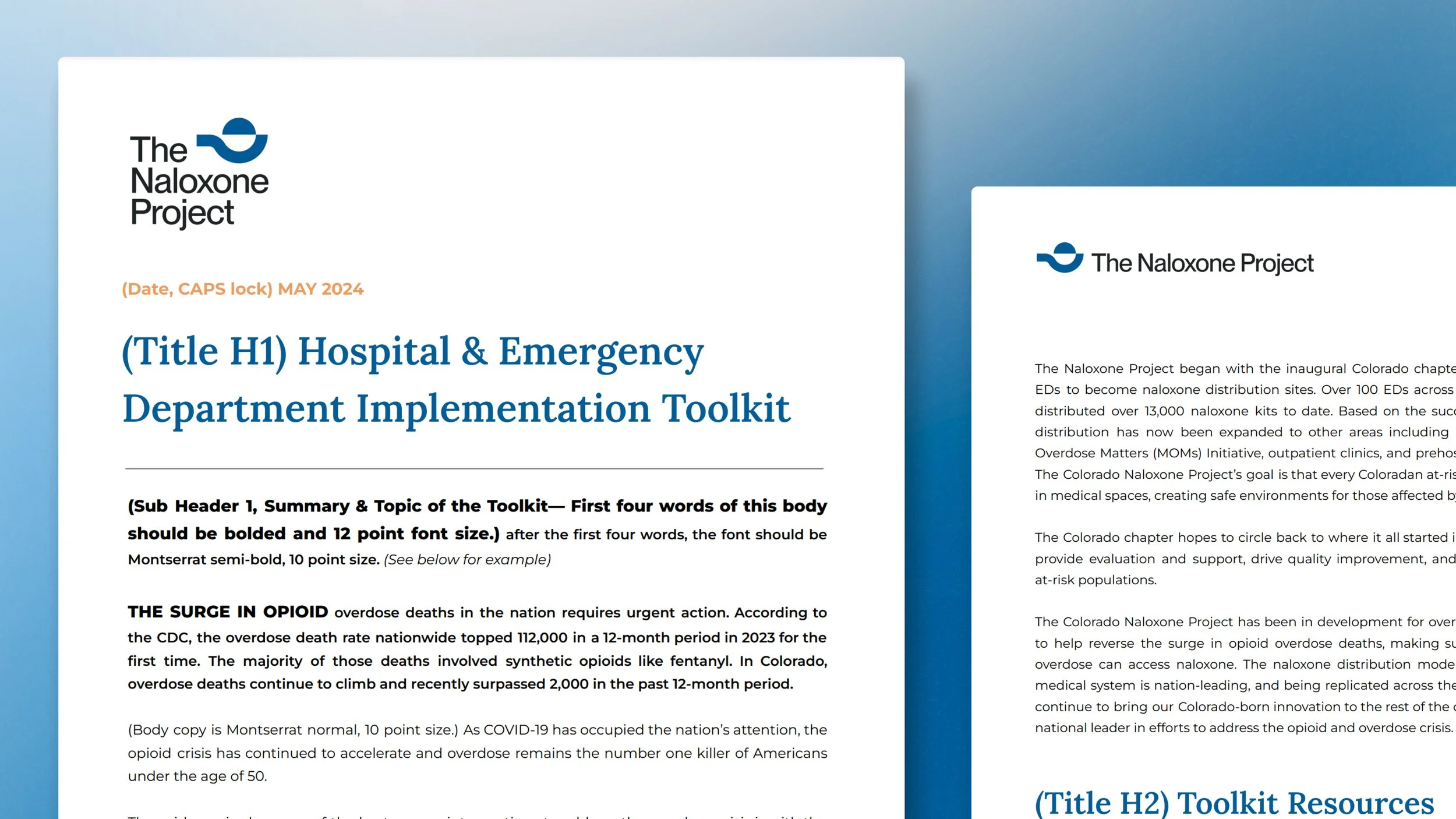 TNP_Brand-Guide_2024_27.jpg