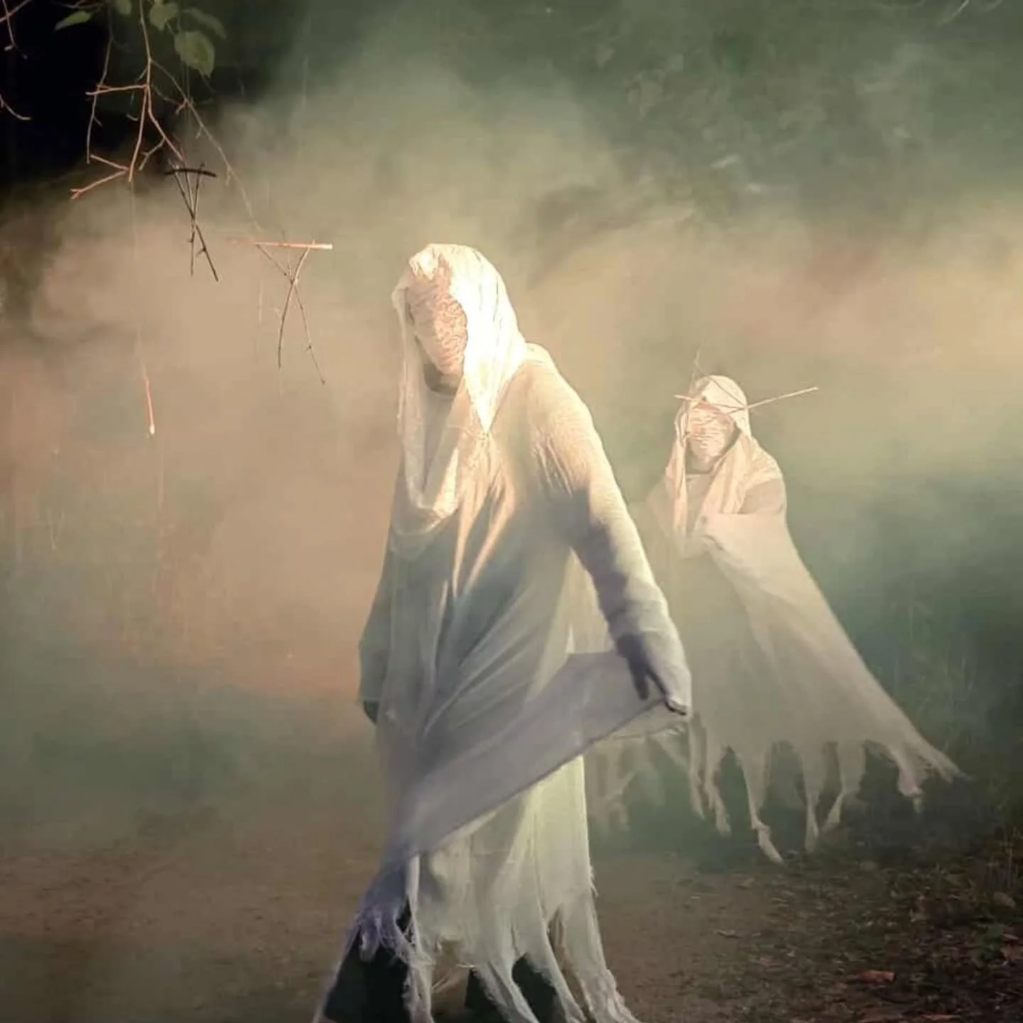 THANK YOU to ALL the AMAZING scare volunteers who came out to Parkville Nature Sanctuary to scare with us! With your incredible efforts, the Haunted Trail was an even greater success than last year! We already can't wait for the next one...
@parkvil